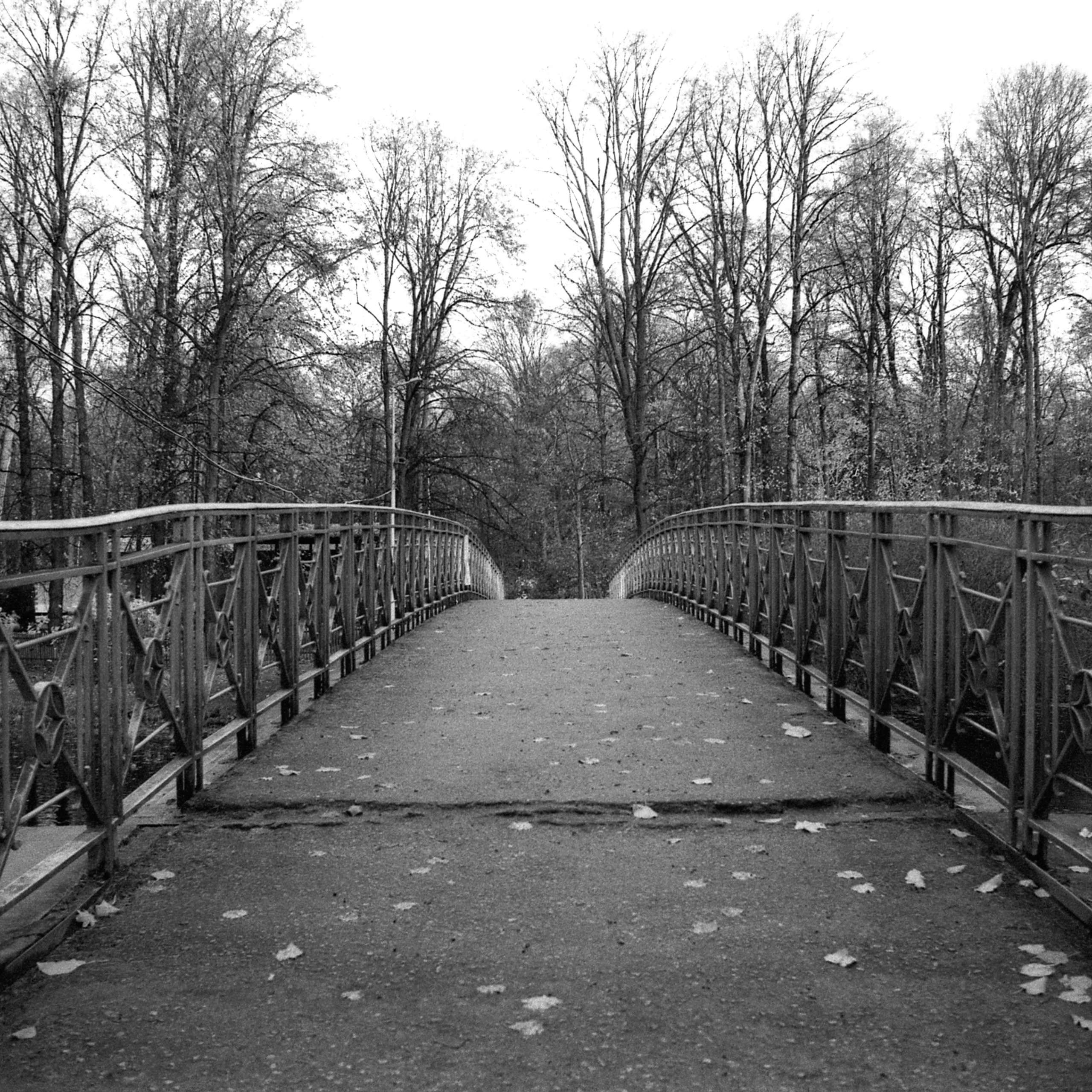 OTHER. Sasha Avis Photography