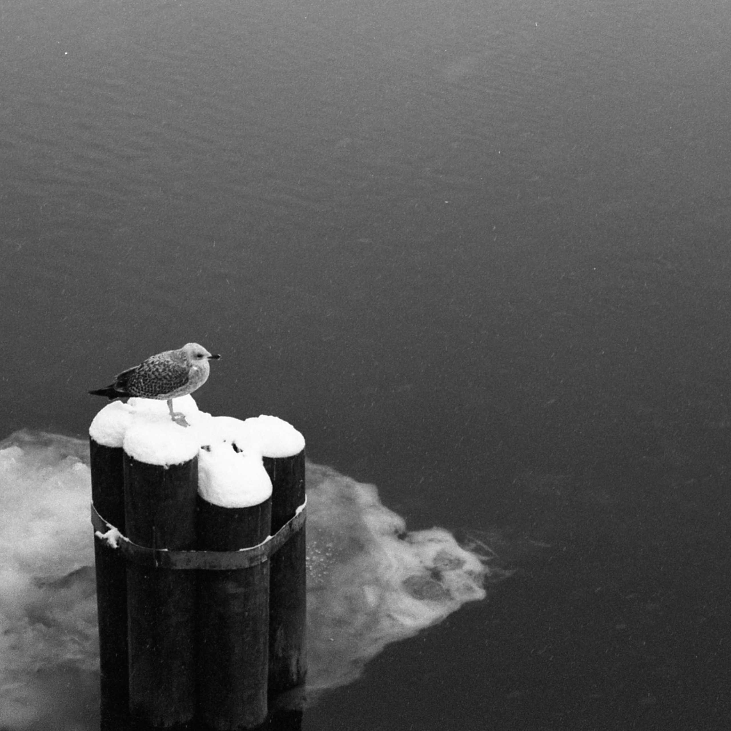 OTHER. Sasha Avis Photography