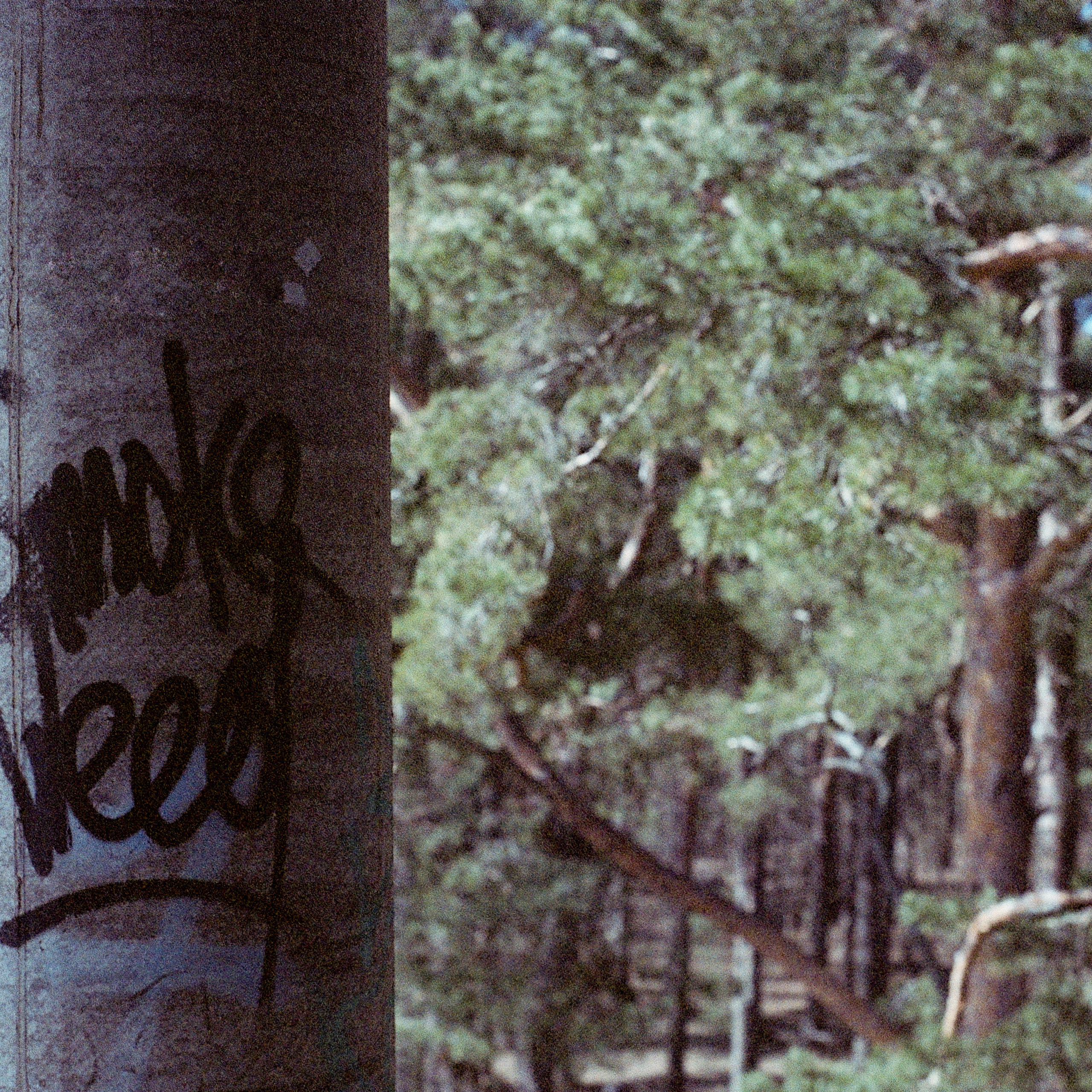 OTHER. Sasha Avis Photography