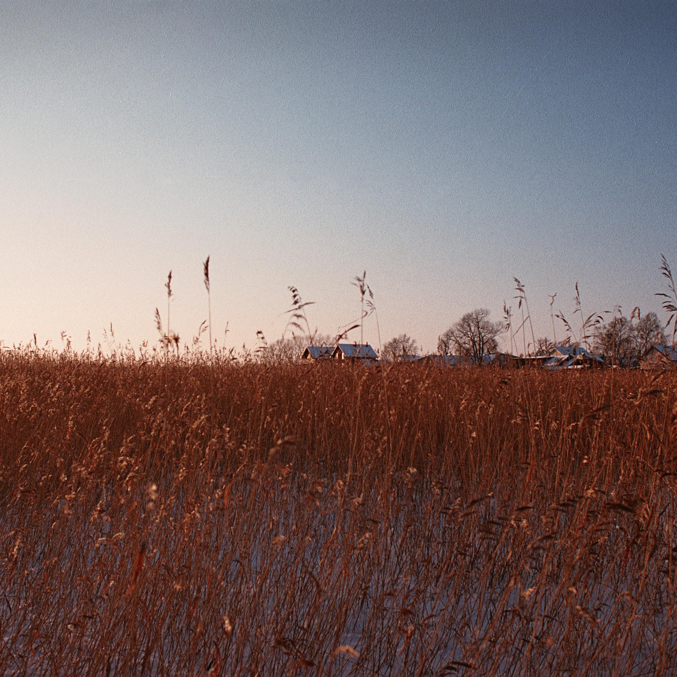 OTHER. Sasha Avis Photography