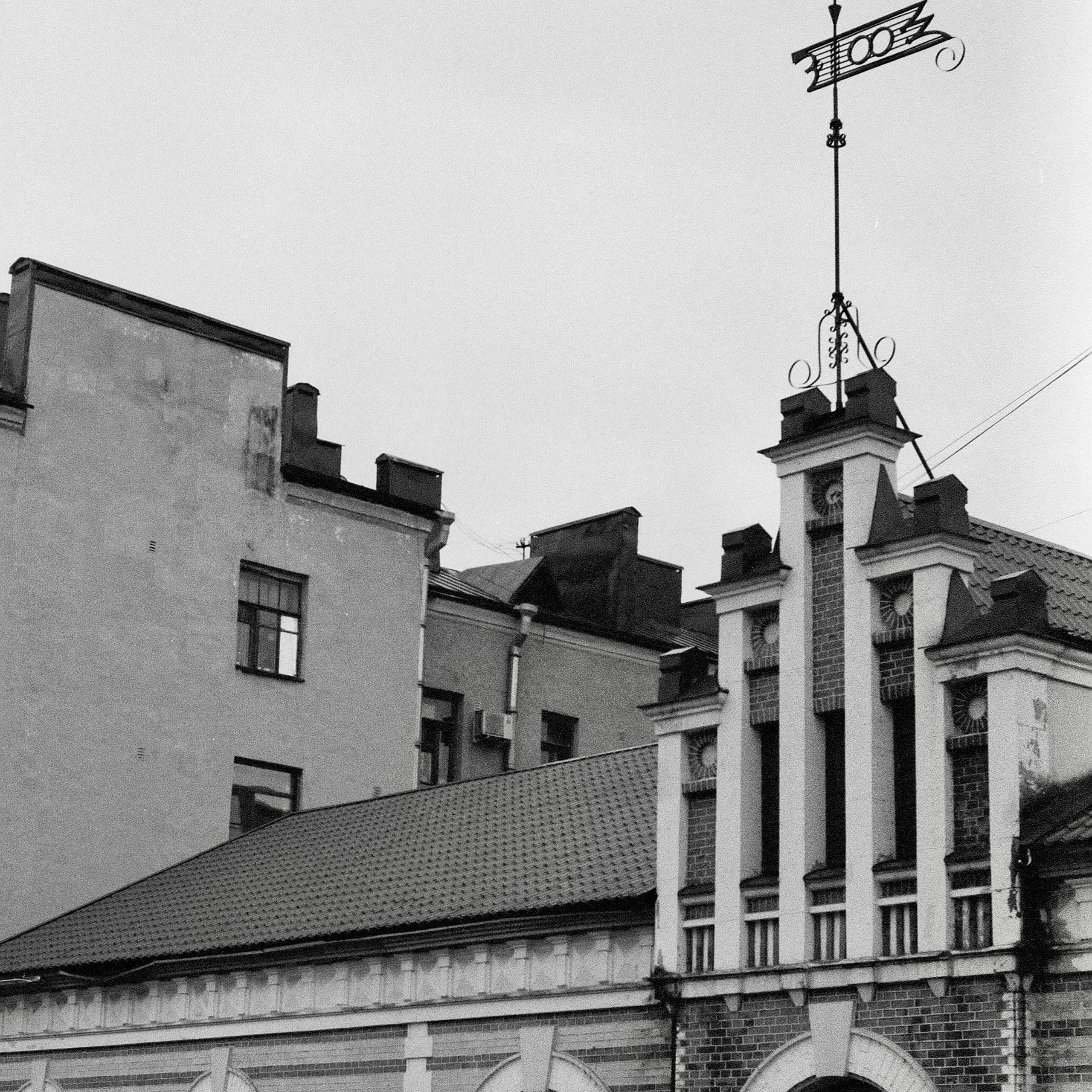 OTHER. Sasha Avis Photography