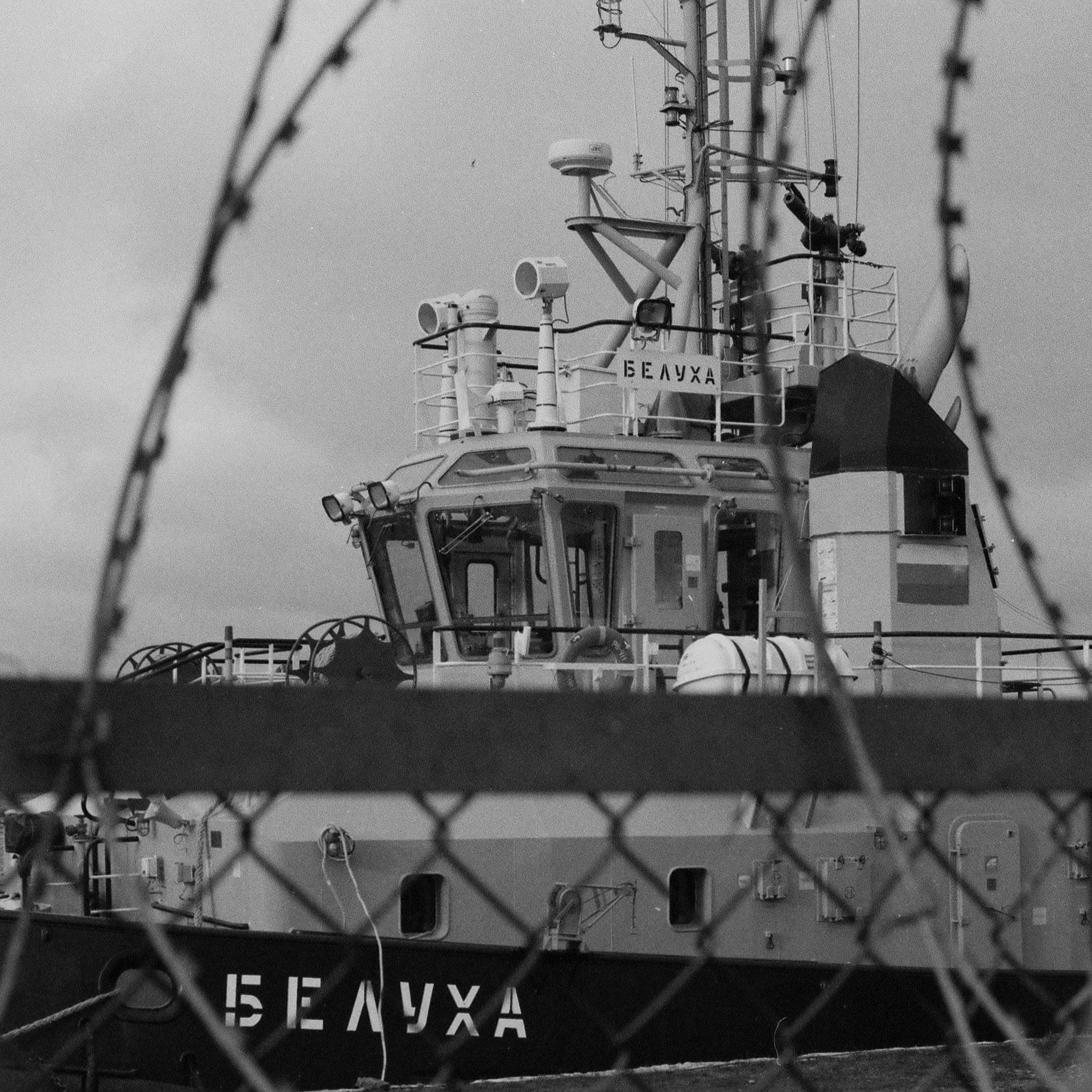 OTHER. Sasha Avis Photography