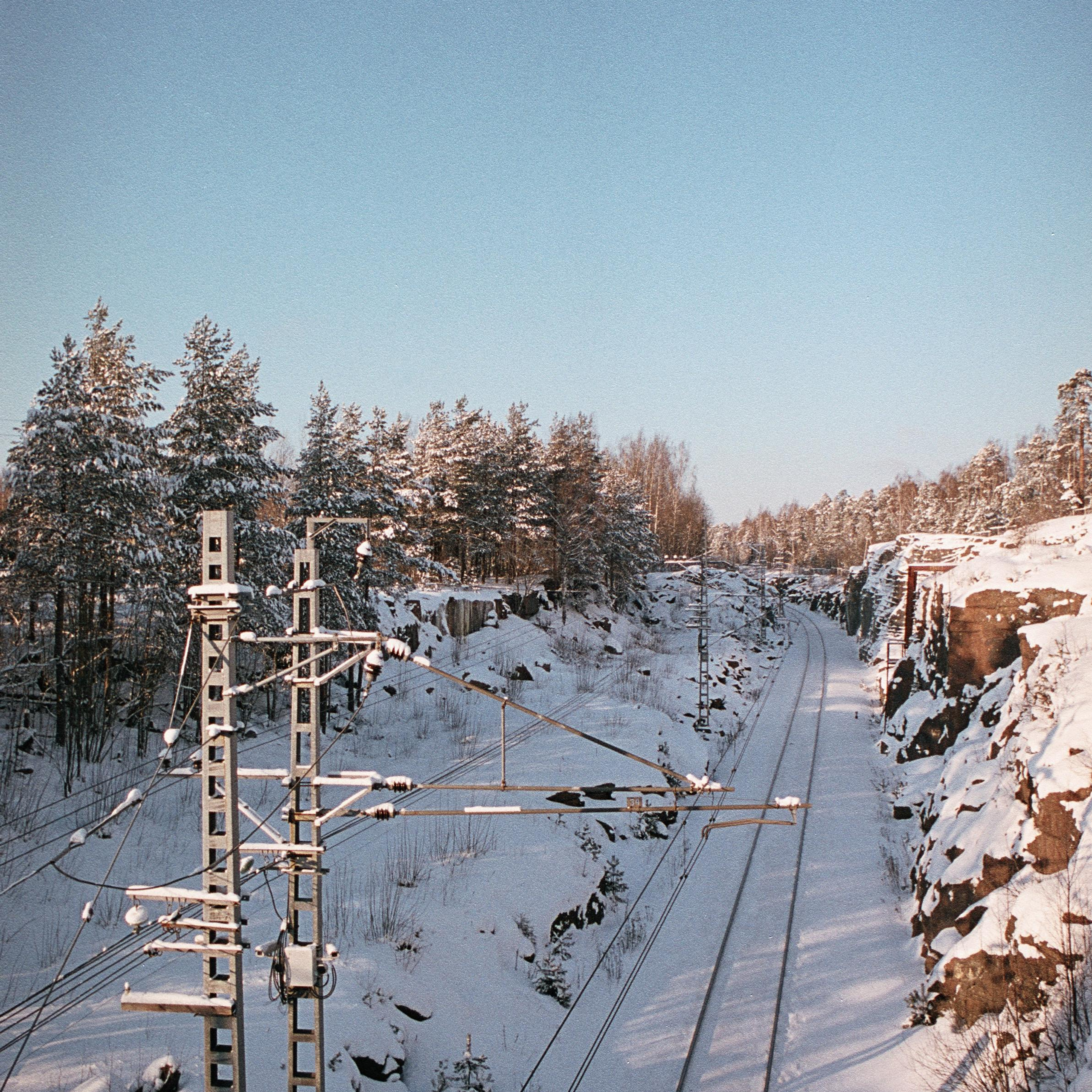 OTHER. Sasha Avis Photography