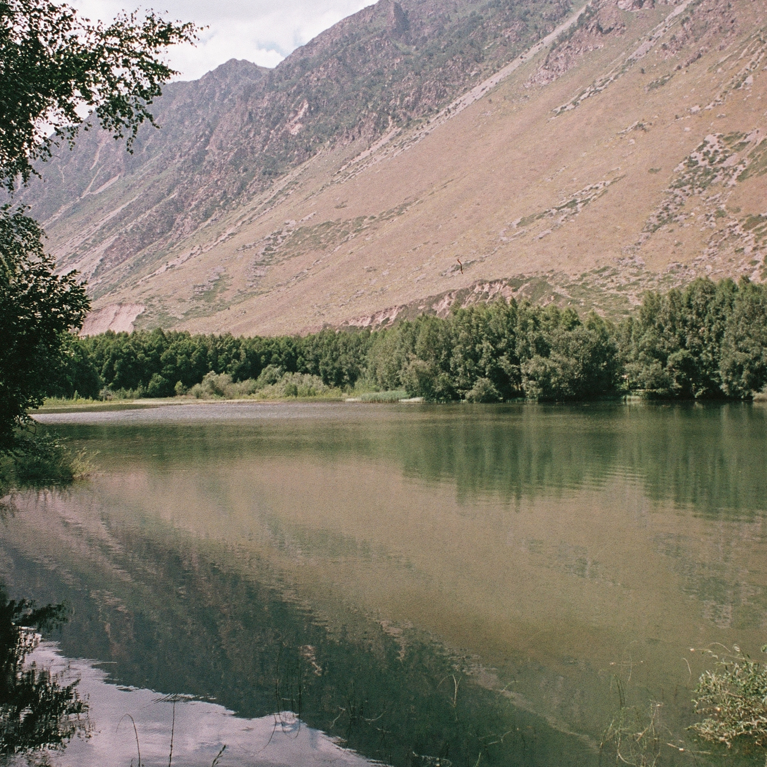 OTHER. Sasha Avis Photography