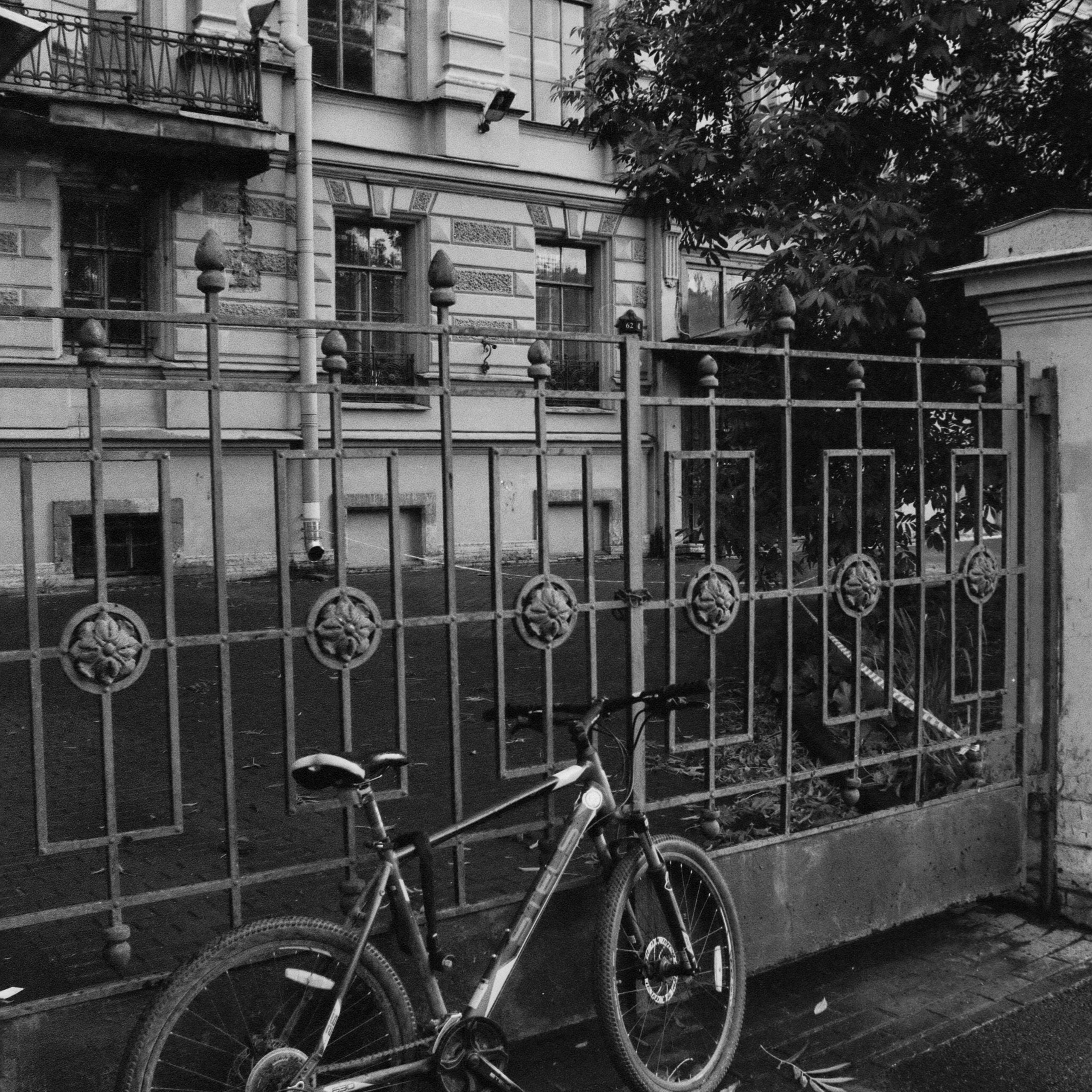 OTHER. Sasha Avis Photography