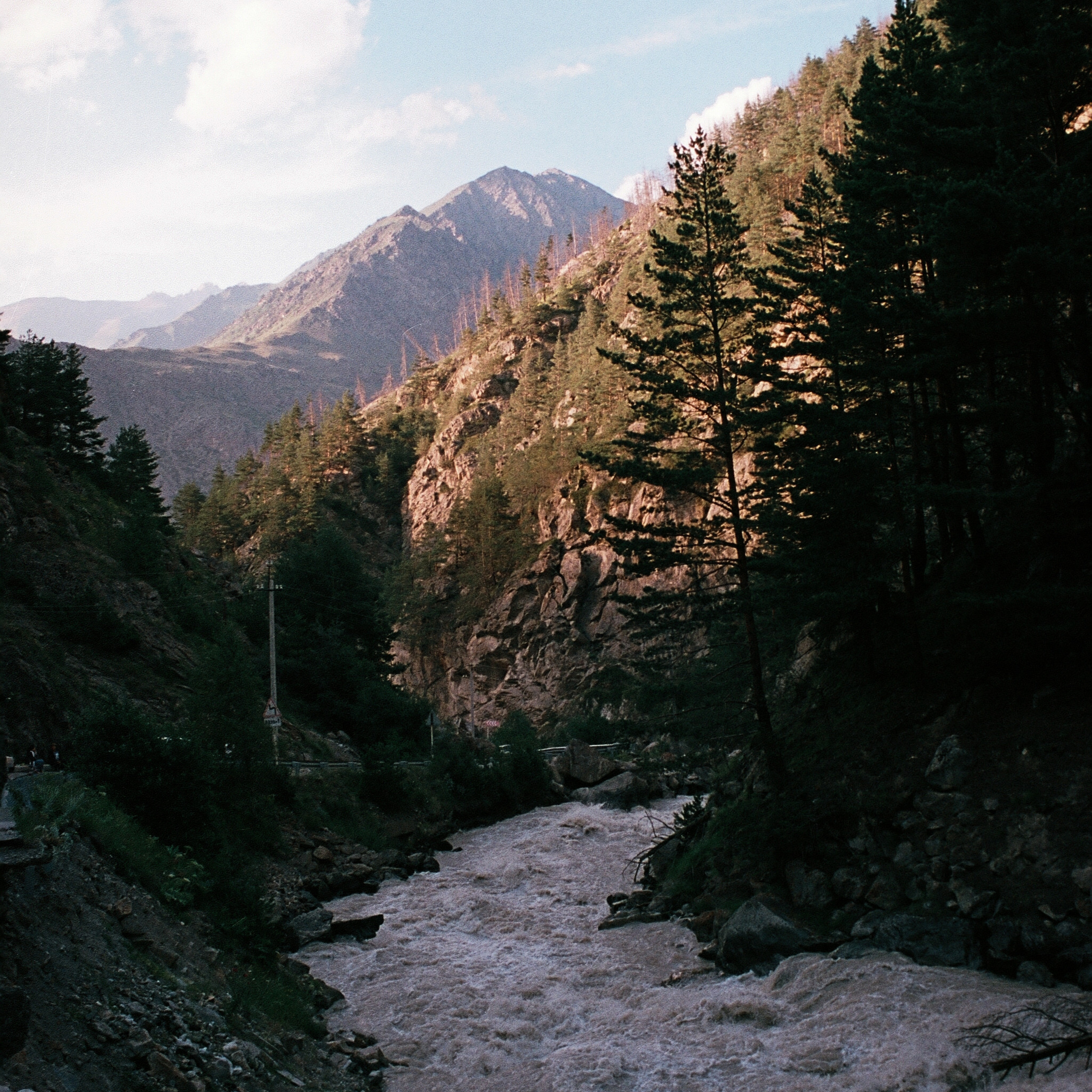 OTHER. Sasha Avis Photography