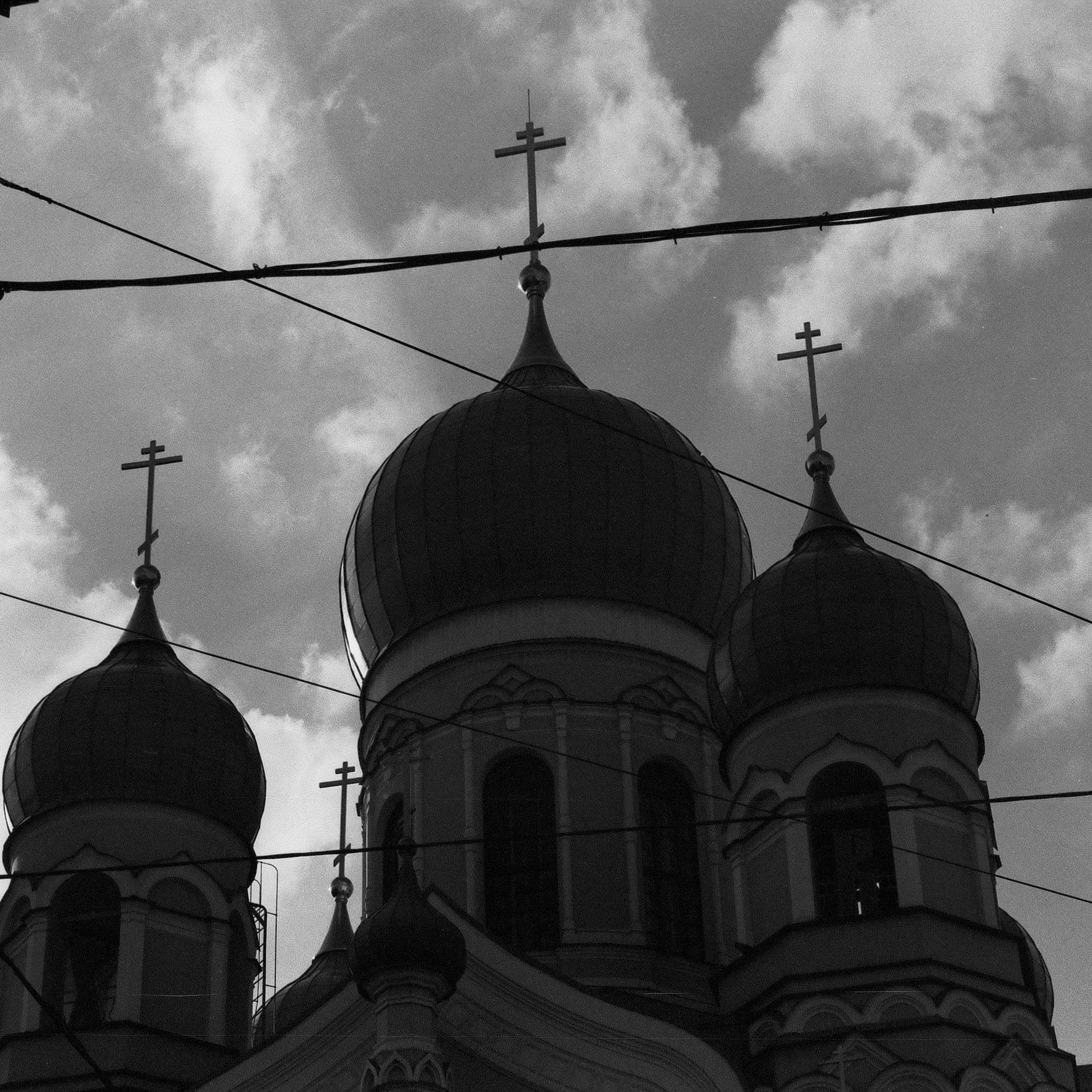 OTHER. Sasha Avis Photography