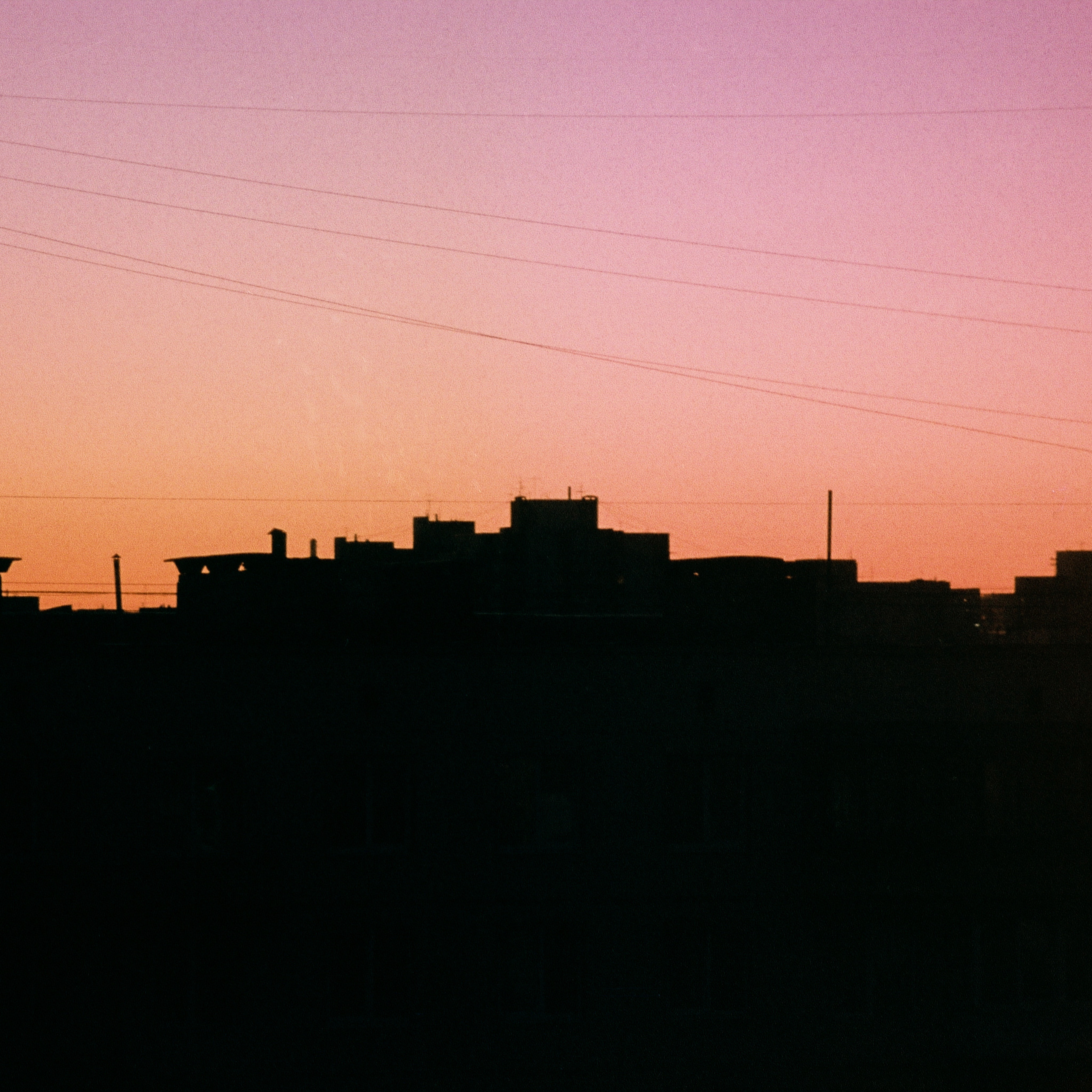 OTHER. Sasha Avis Photography