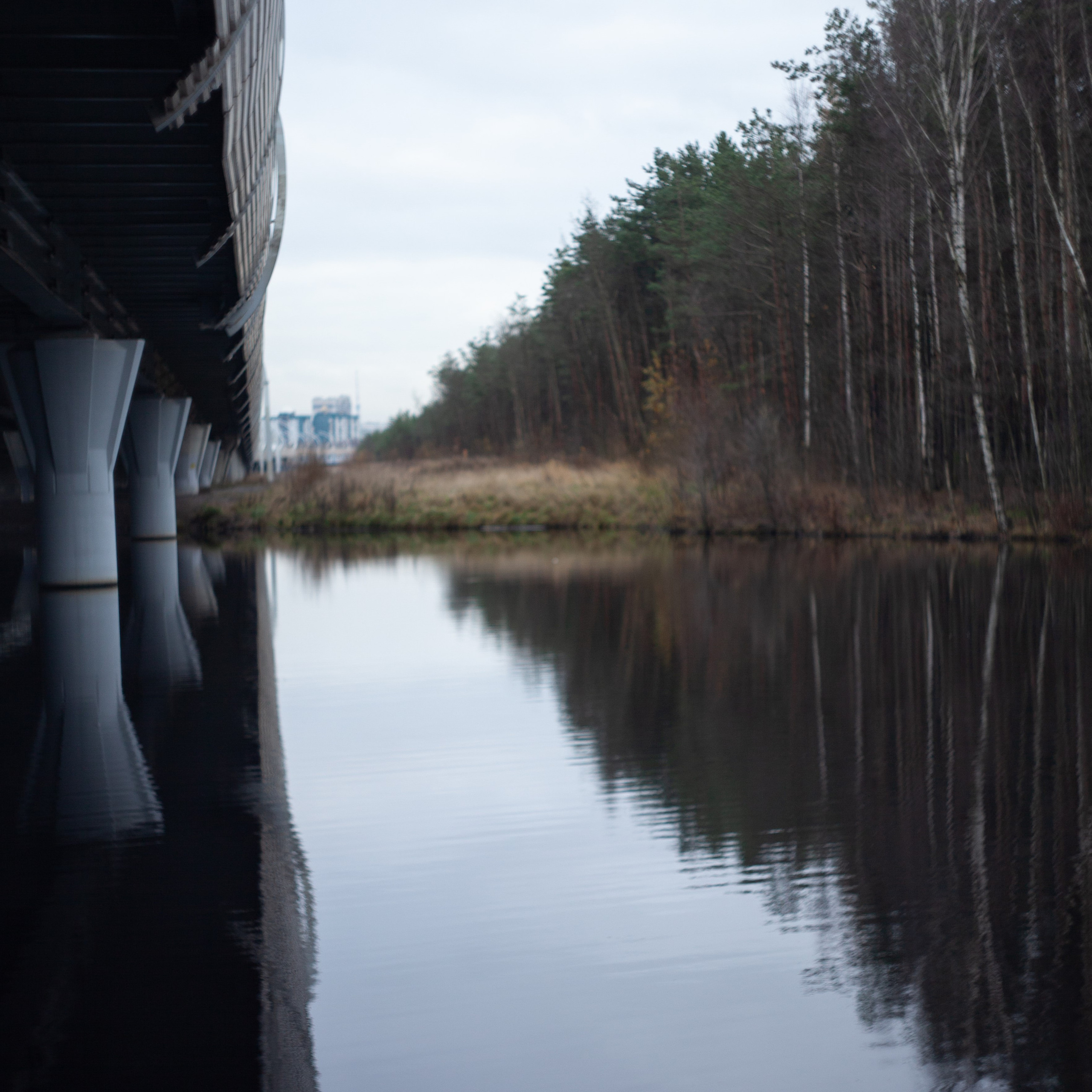 OTHER. Sasha Avis Photography