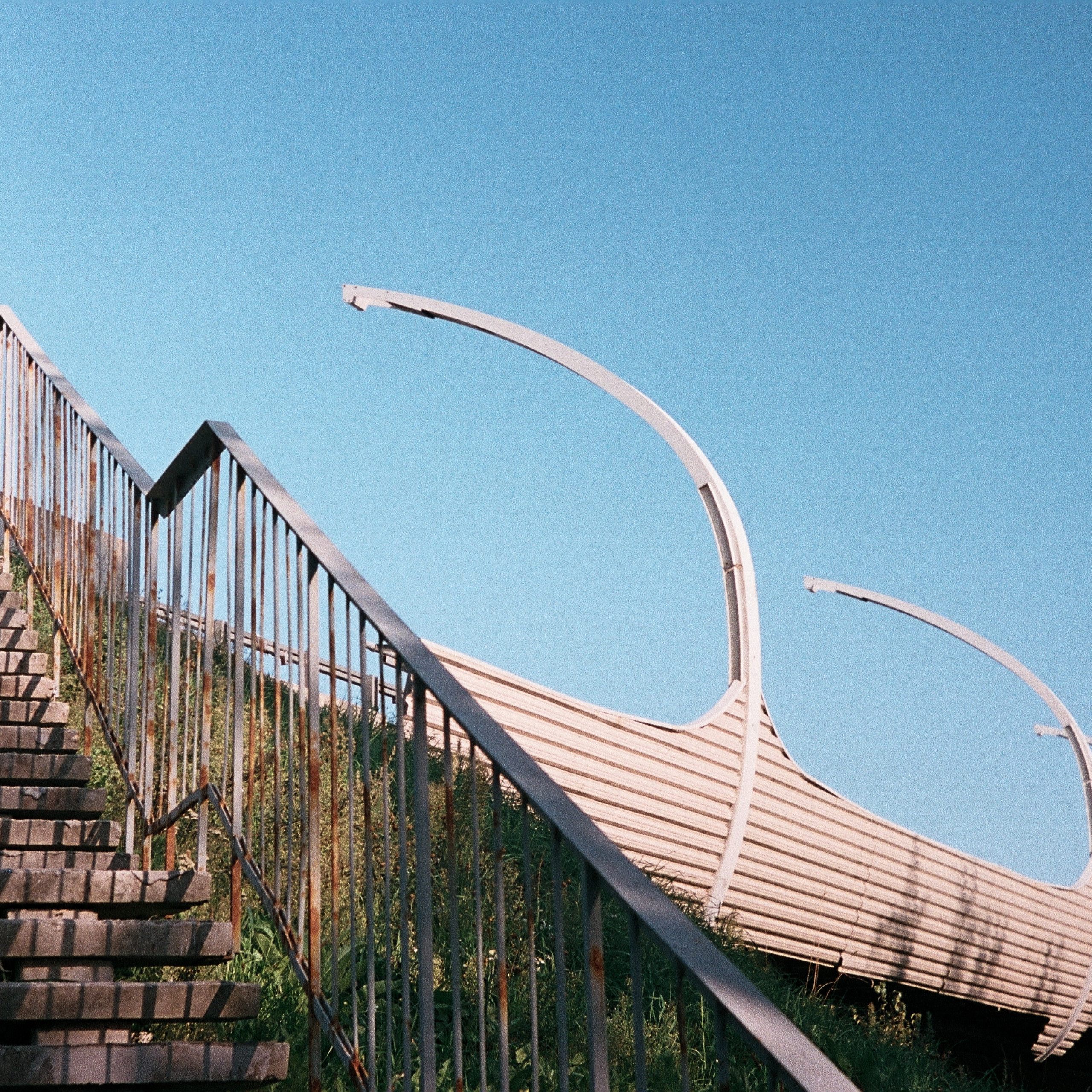 OTHER. Sasha Avis Photography