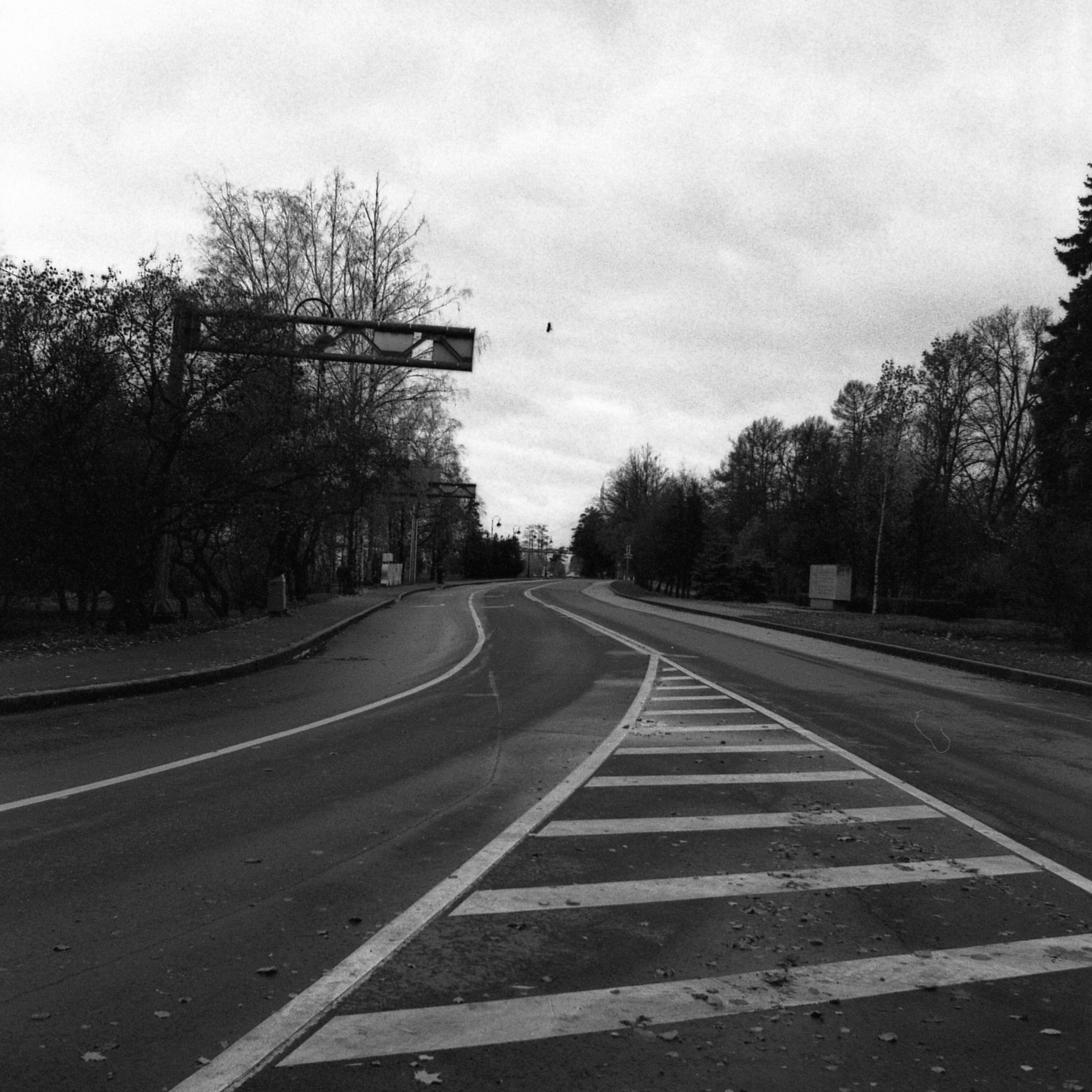 OTHER. Sasha Avis Photography