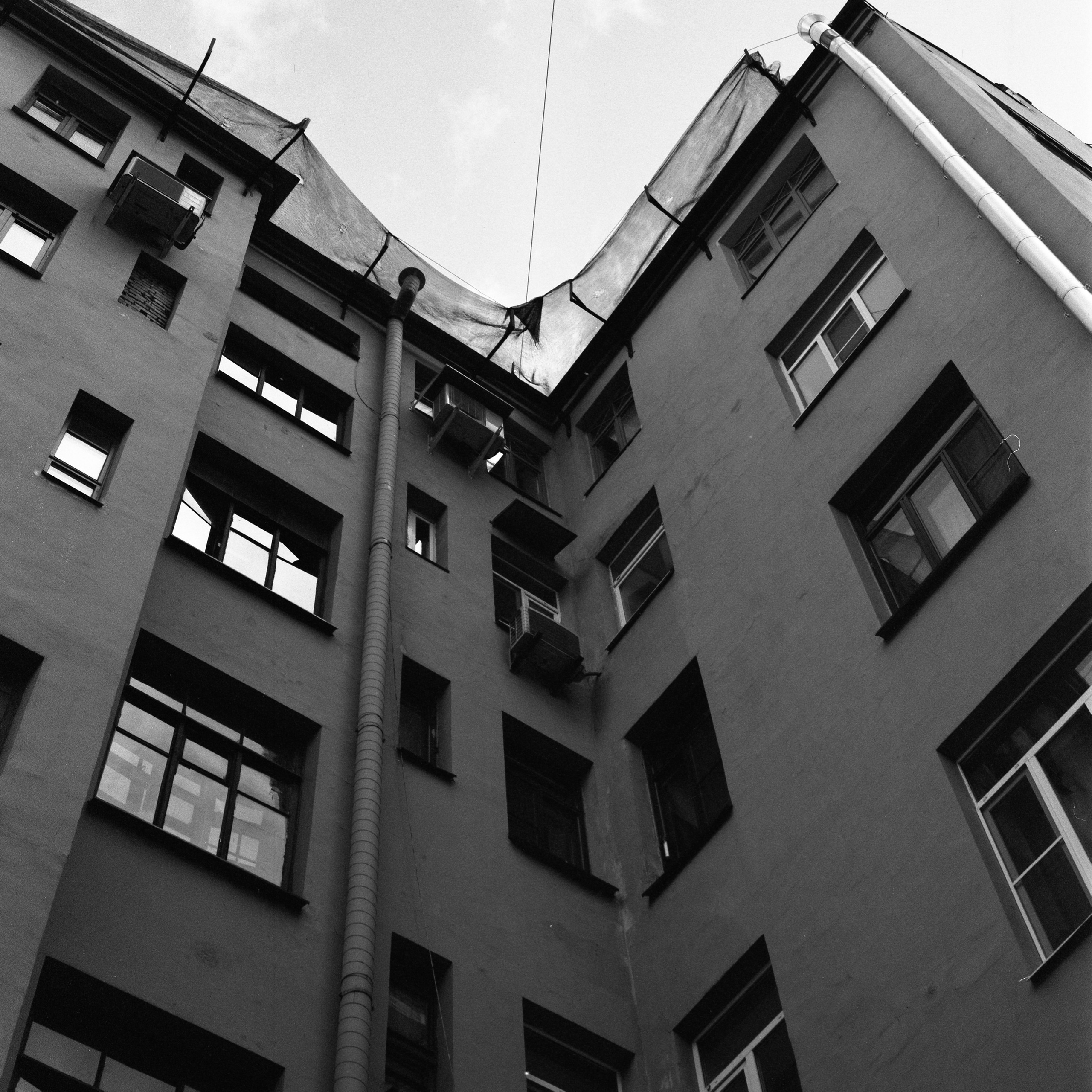 OTHER. Sasha Avis Photography