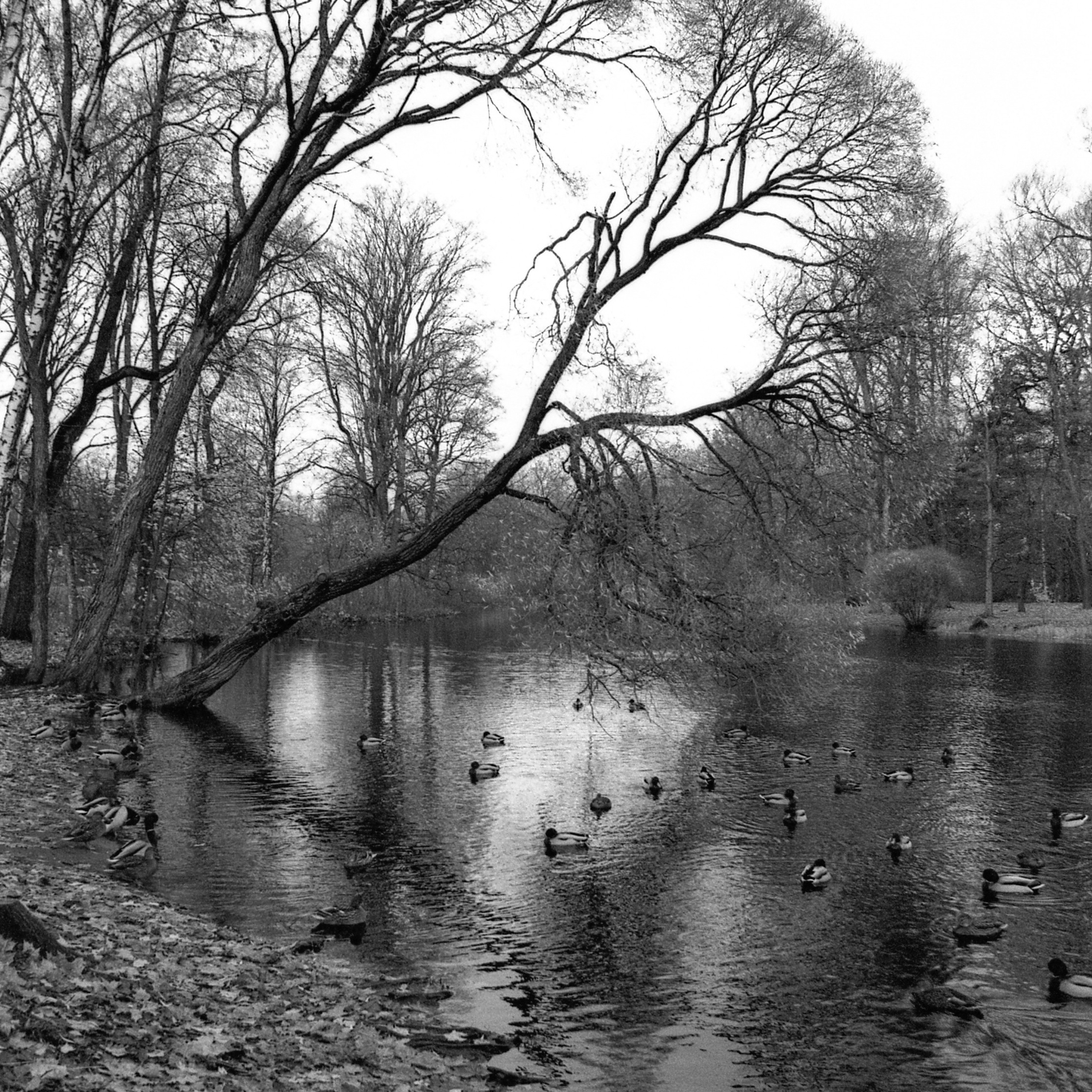 OTHER. Sasha Avis Photography