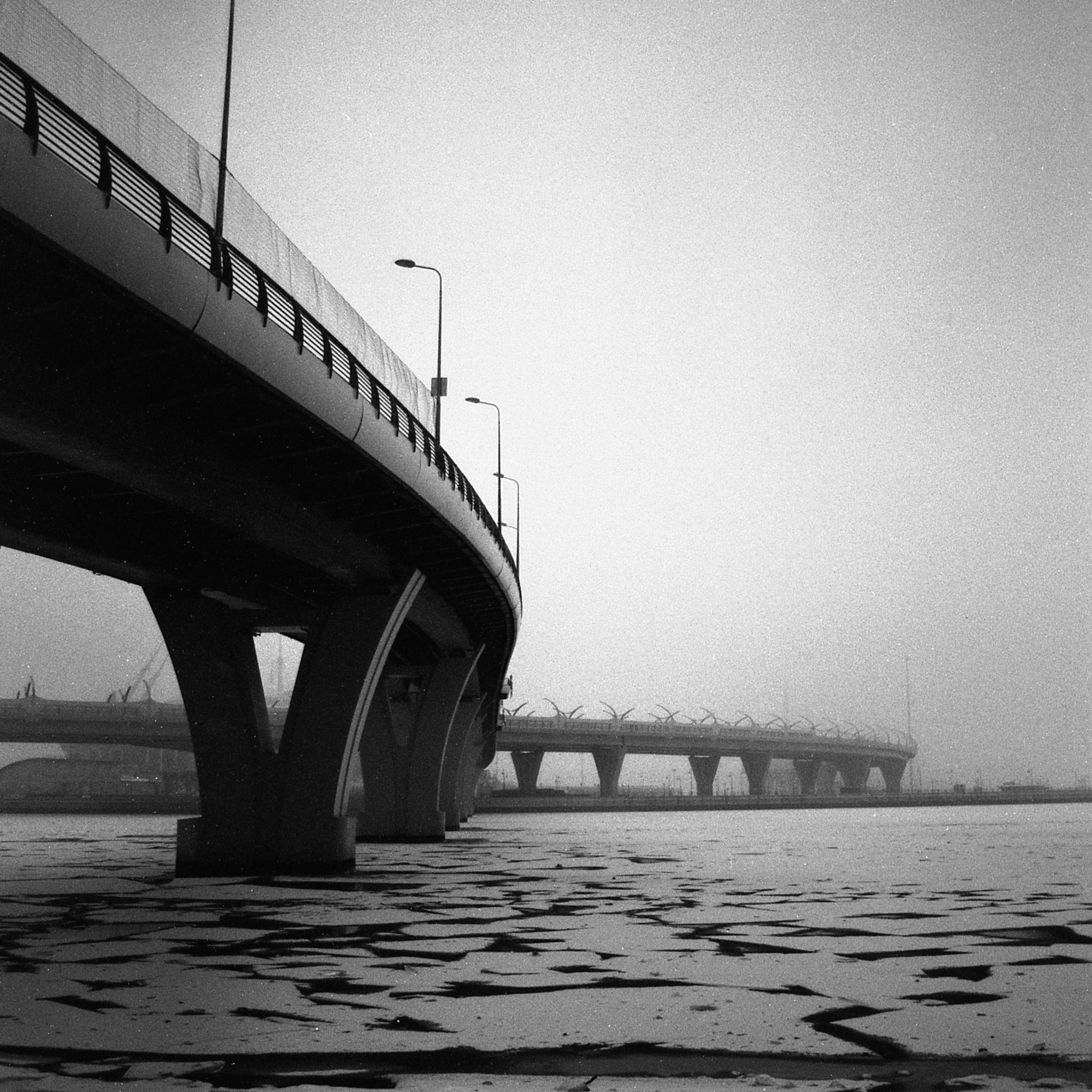 OTHER. Sasha Avis Photography