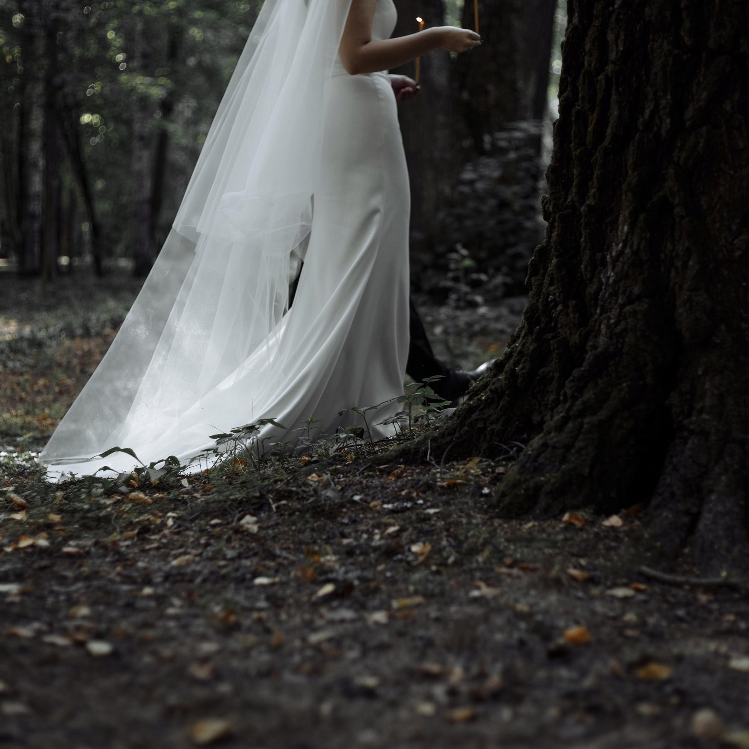 Отзывы. Фотограф Вышний Волочек/Тверь/Москва/Санкт-Петербург