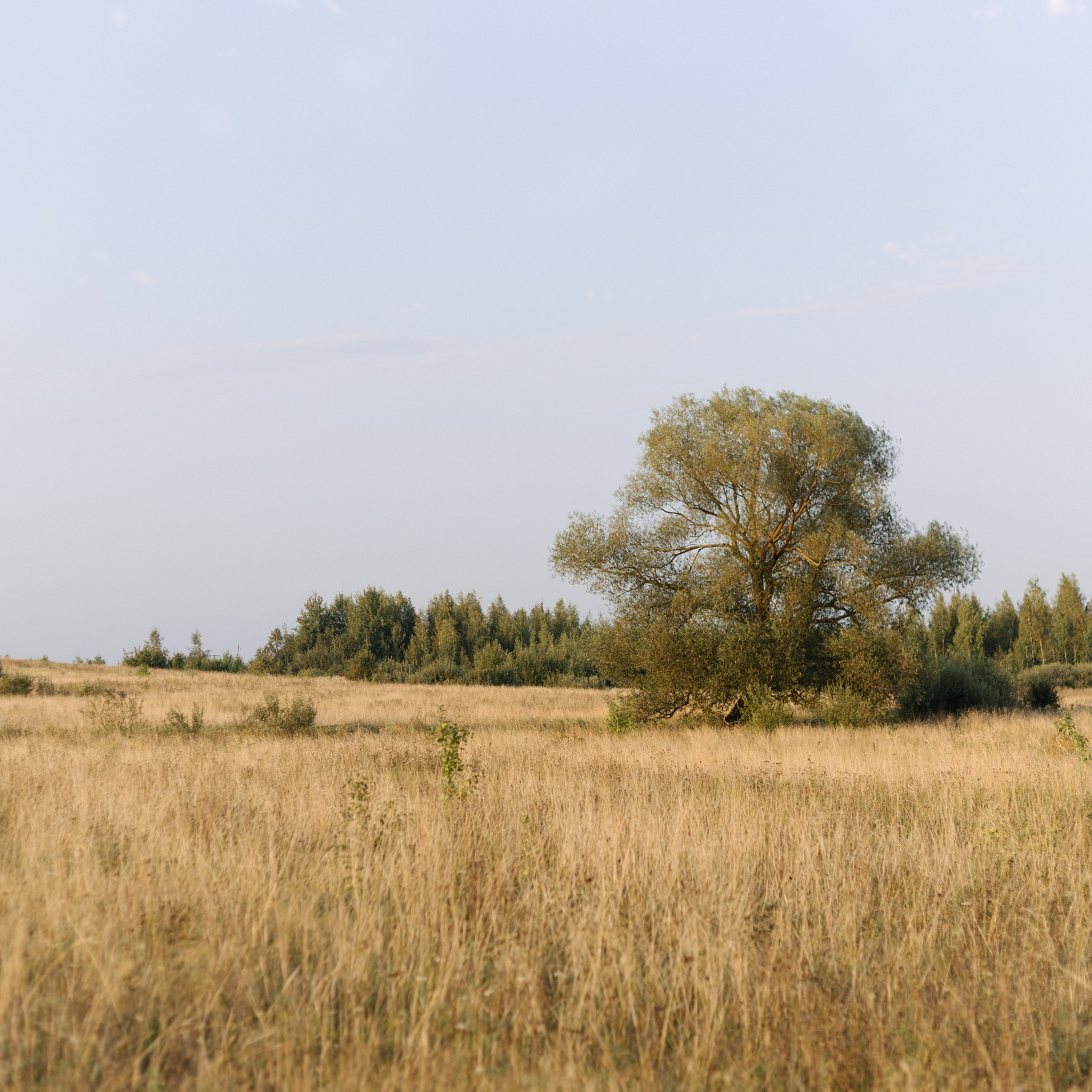 Отзывы. Фотограф Вышний Волочек/Тверь/Москва/Санкт-Петербург