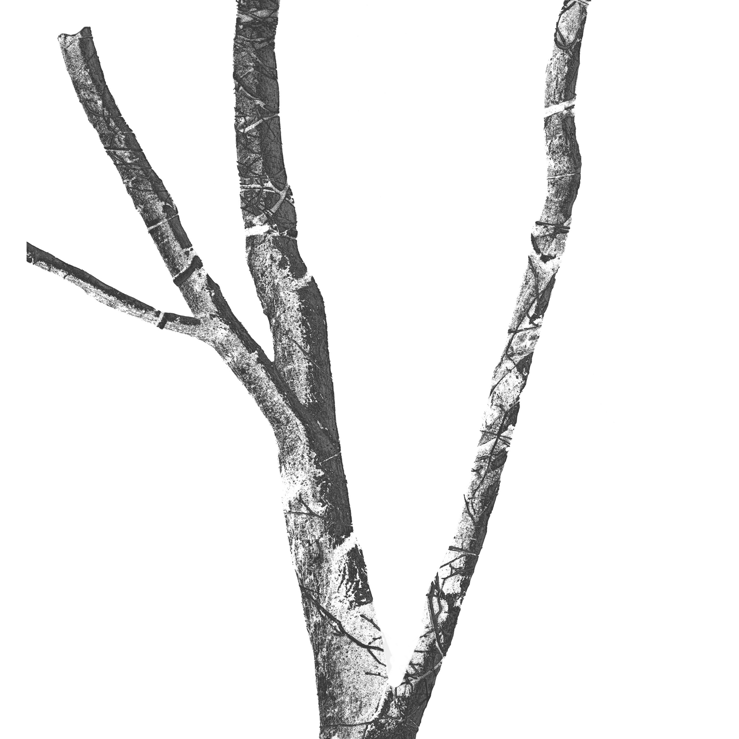 Щукин Артём (Тула)