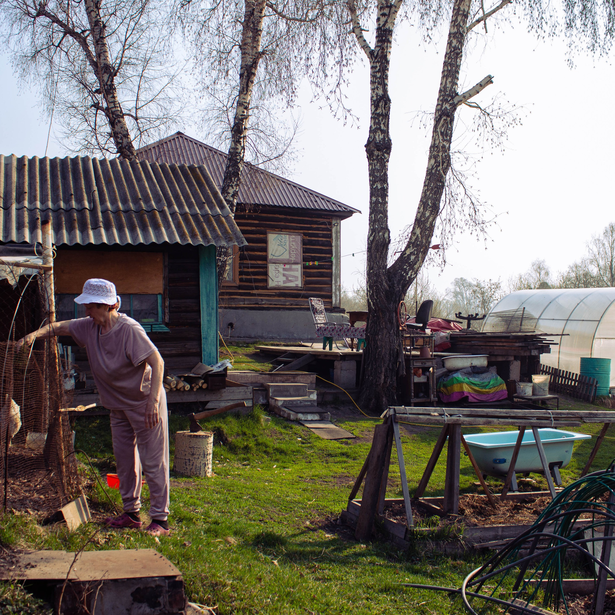 Устьянцева Елизавета (Новосибирск)