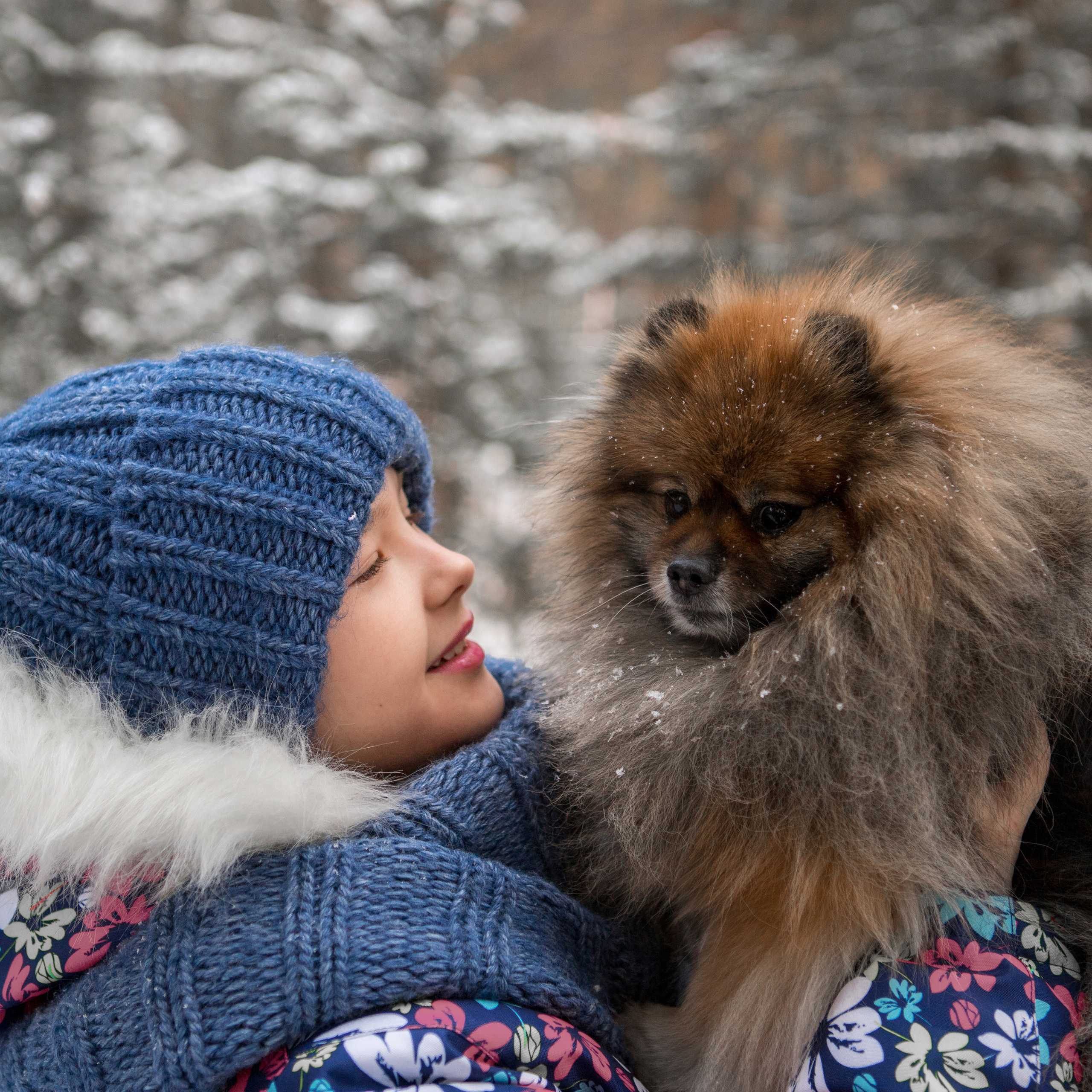 Прогулка с питомцем