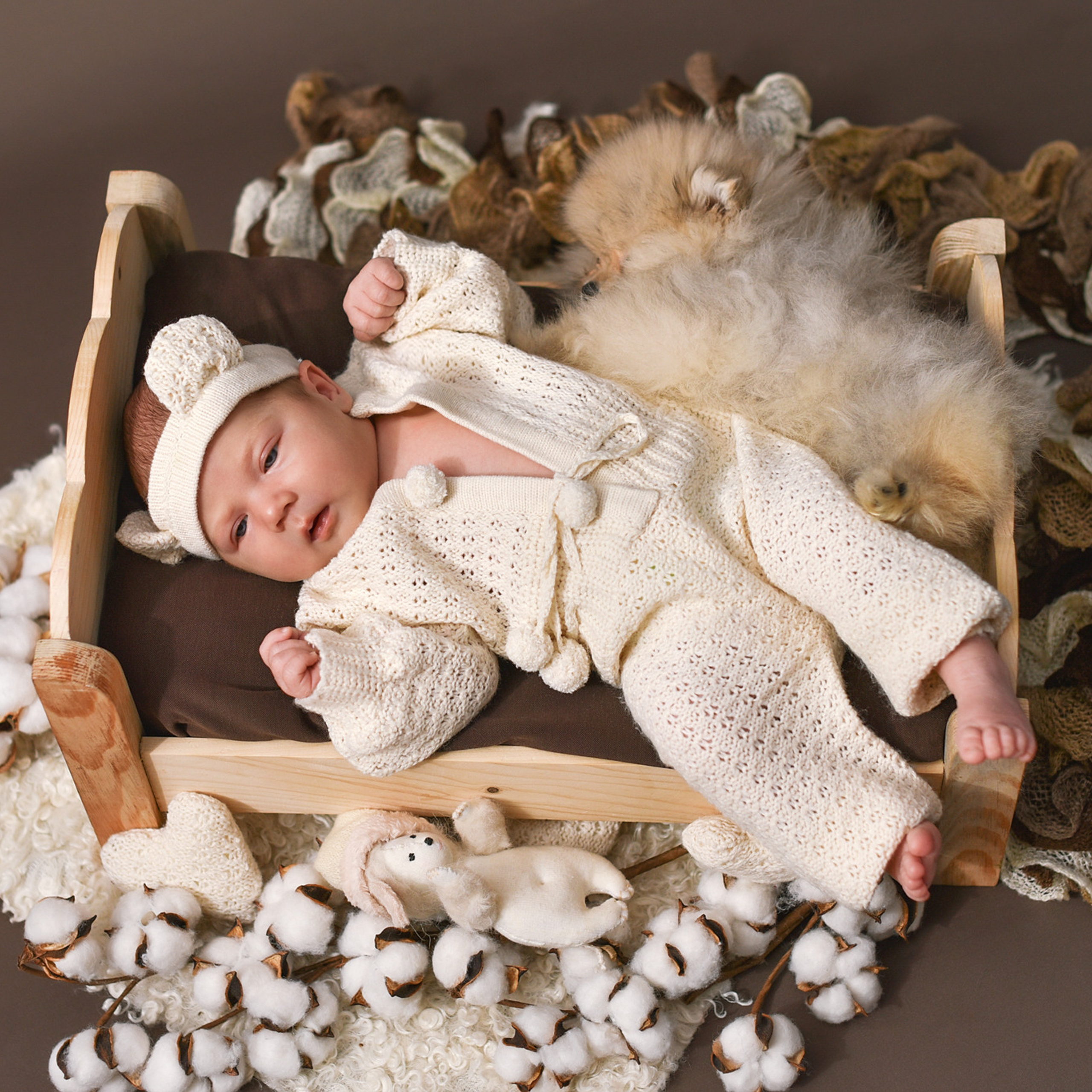 АРЕНДА ЖИВОТНЫХ. Фотограф беременности и новорожденных малышей Анастасия Никитина