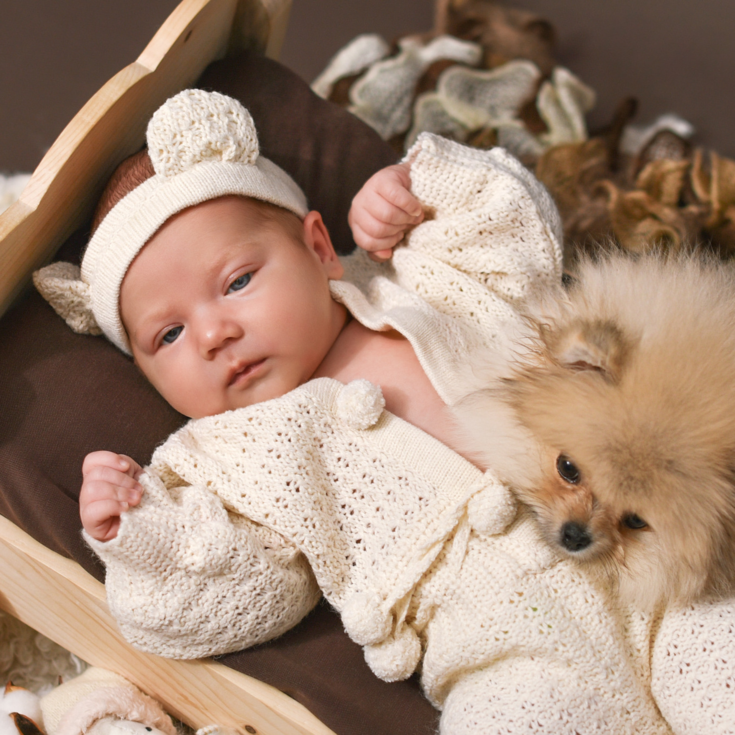 АРЕНДА ЖИВОТНЫХ. Фотограф беременности и новорожденных малышей Анастасия Никитина