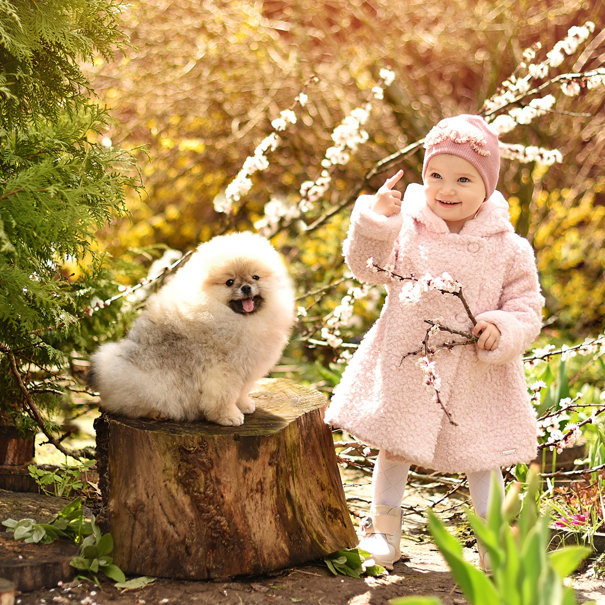 АРЕНДА ЖИВОТНЫХ. Фотограф беременности и новорожденных малышей Анастасия Никитина