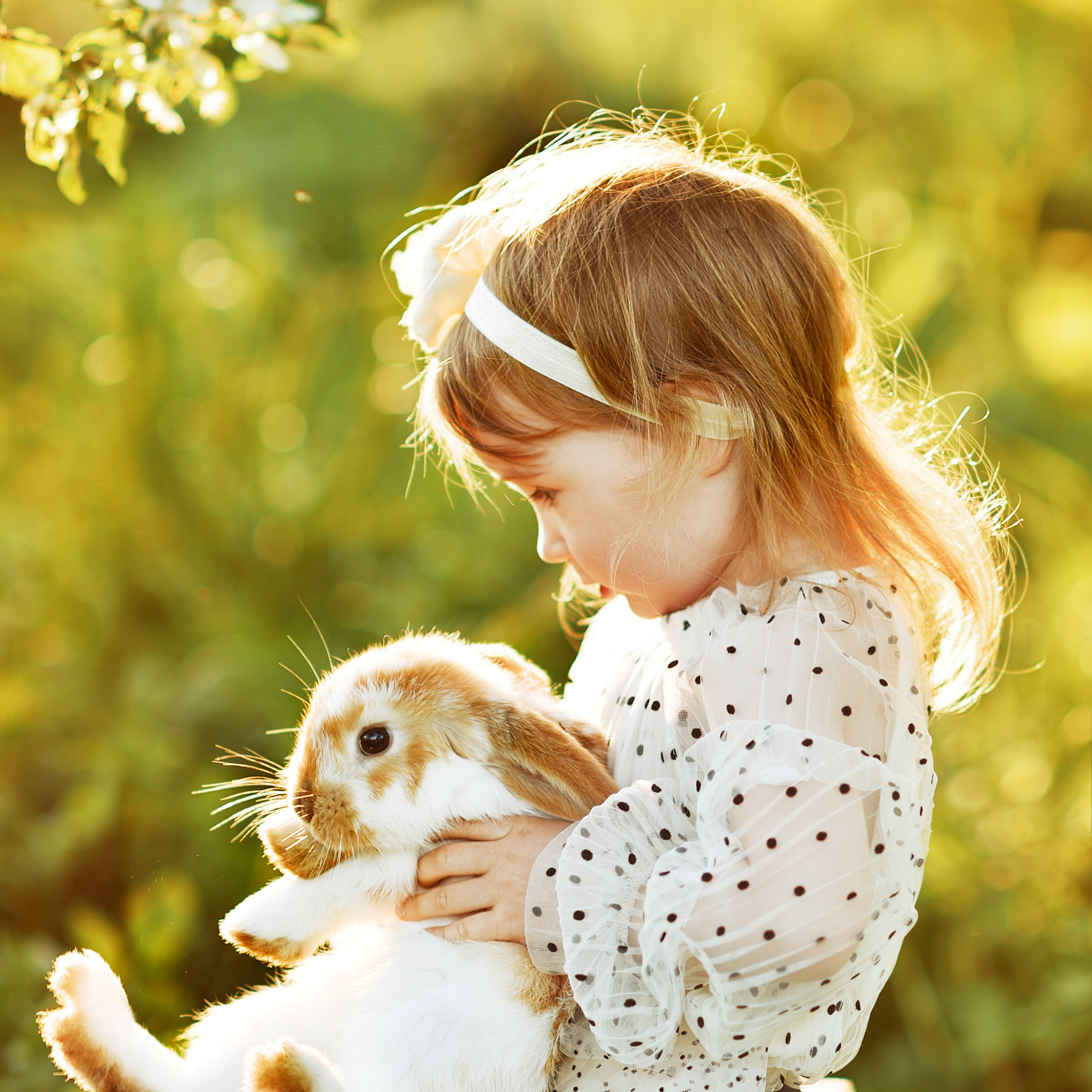 АРЕНДА ЖИВОТНЫХ. Фотограф беременности и новорожденных малышей Анастасия Никитина
