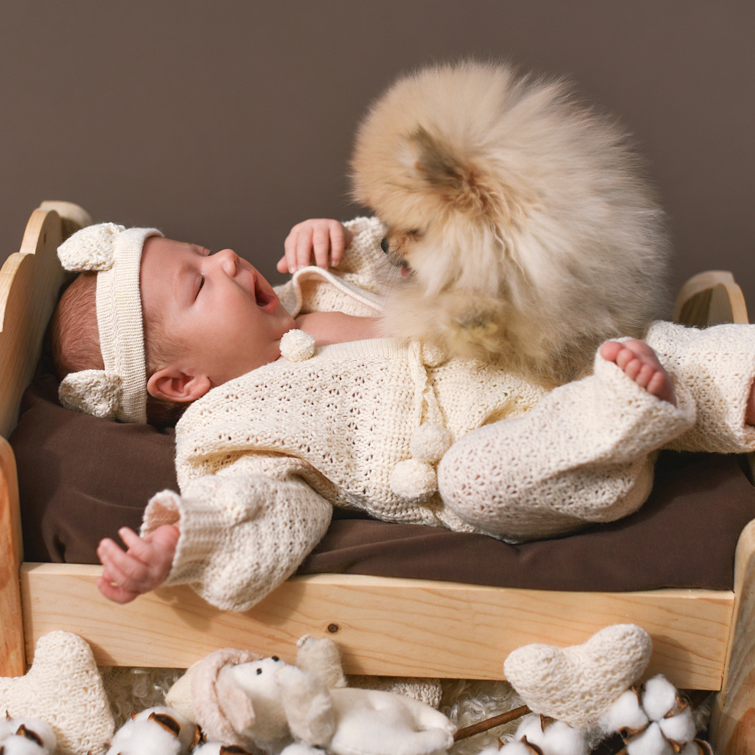 АРЕНДА ЖИВОТНЫХ. Фотограф беременности и новорожденных малышей Анастасия Никитина