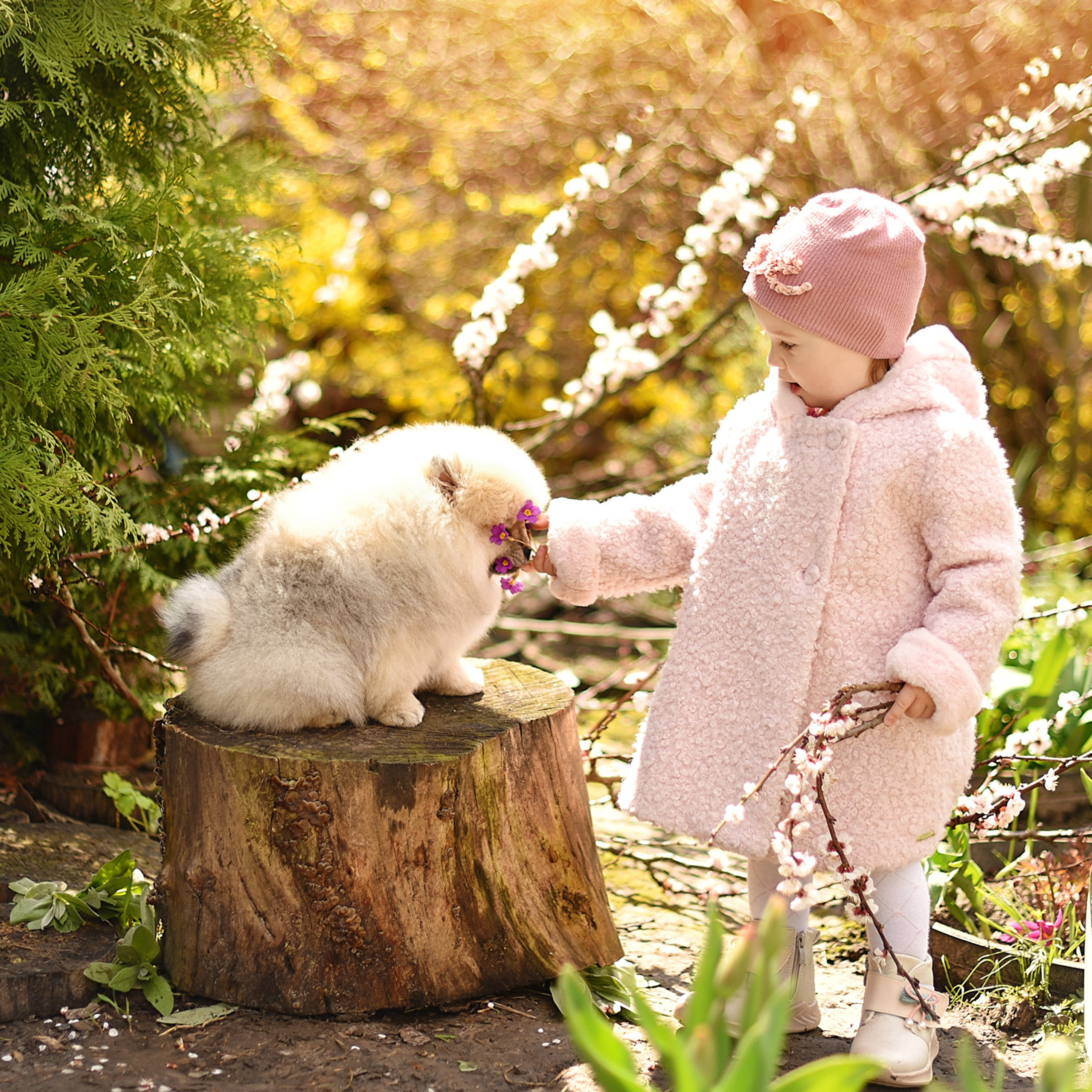 АРЕНДА ЖИВОТНЫХ. Фотограф беременности и новорожденных малышей Анастасия Никитина