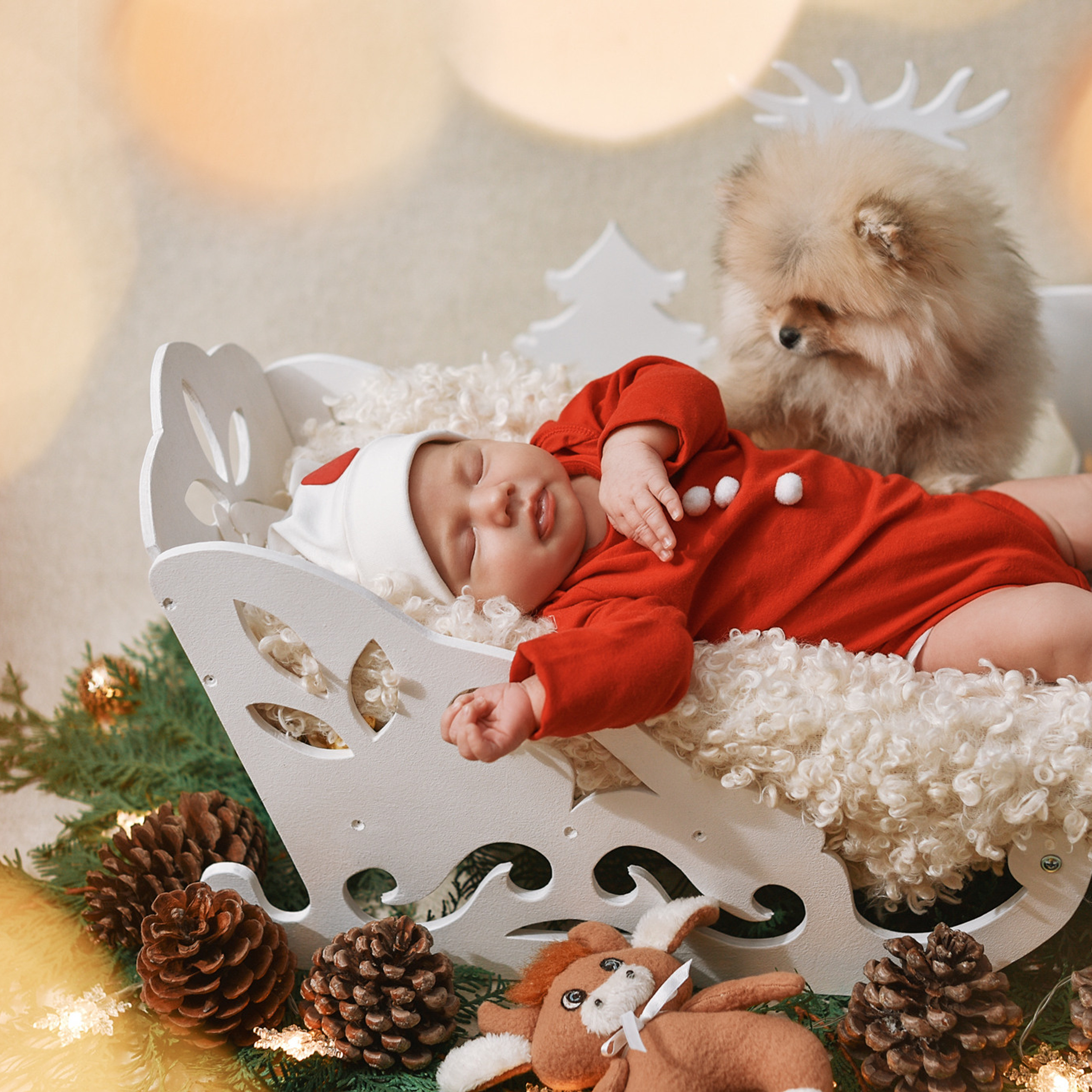 АРЕНДА ЖИВОТНЫХ. Фотограф беременности и новорожденных малышей Анастасия Никитина