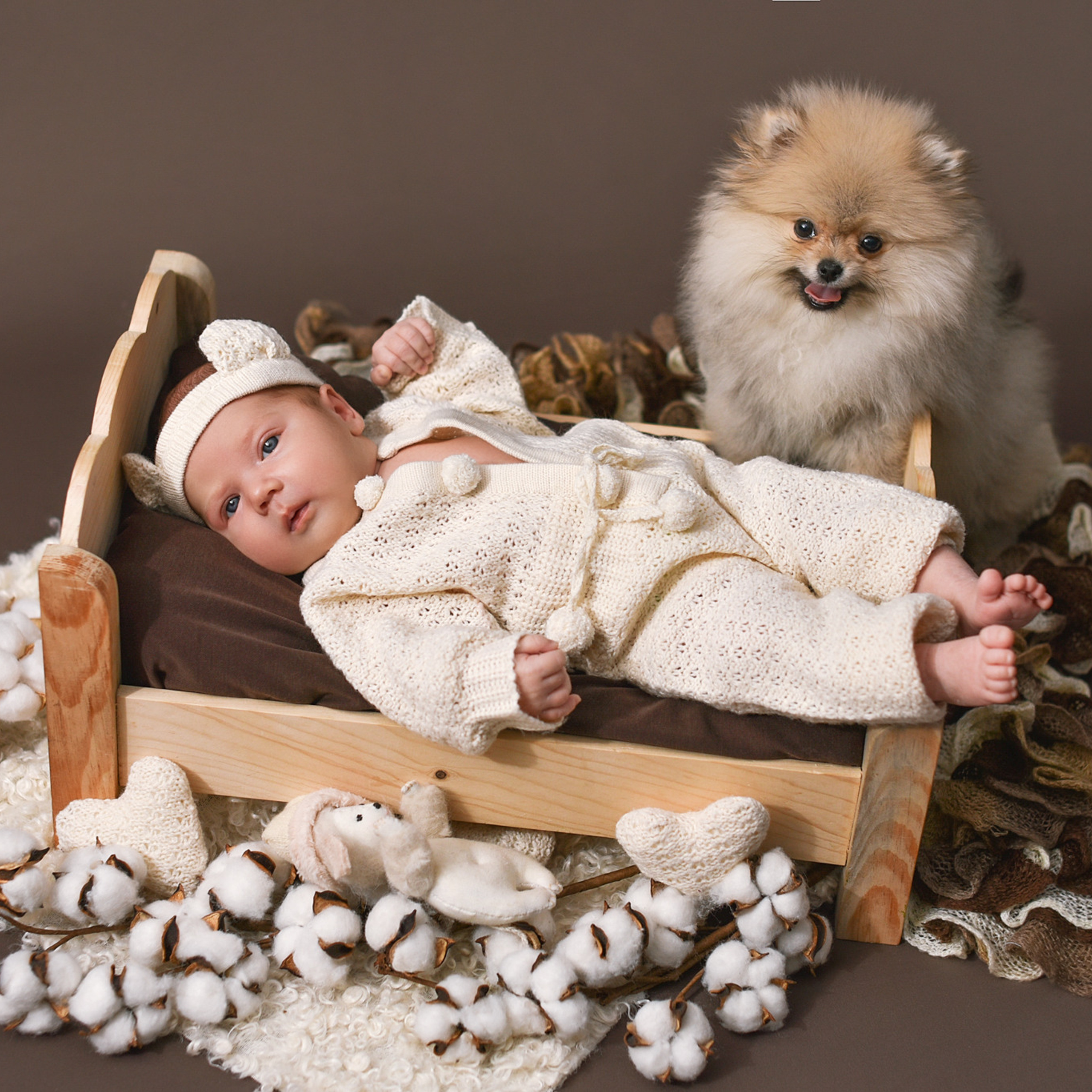 АРЕНДА ЖИВОТНЫХ. Фотограф беременности и новорожденных малышей Анастасия Никитина