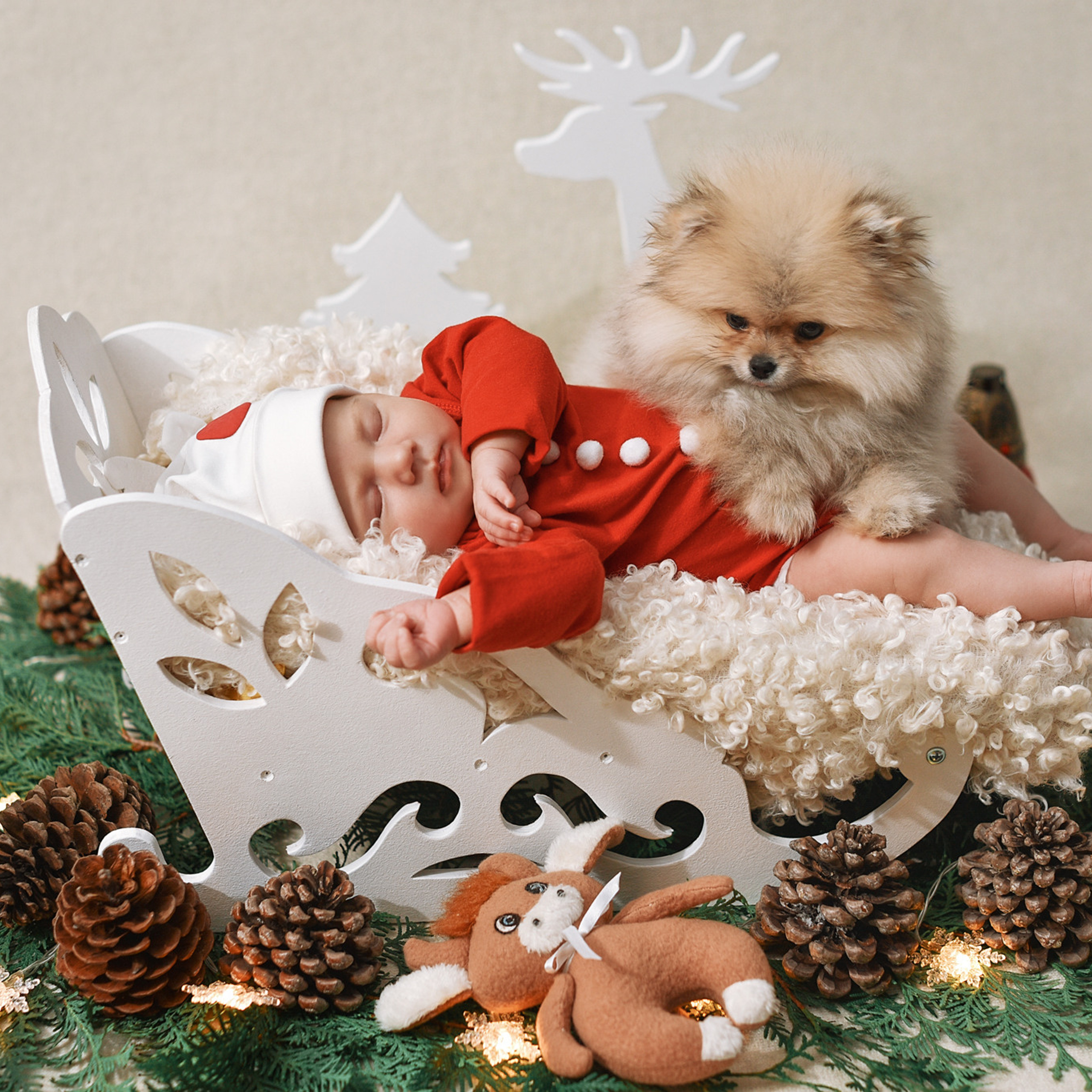 АРЕНДА ЖИВОТНЫХ. Фотограф беременности и новорожденных малышей Анастасия Никитина