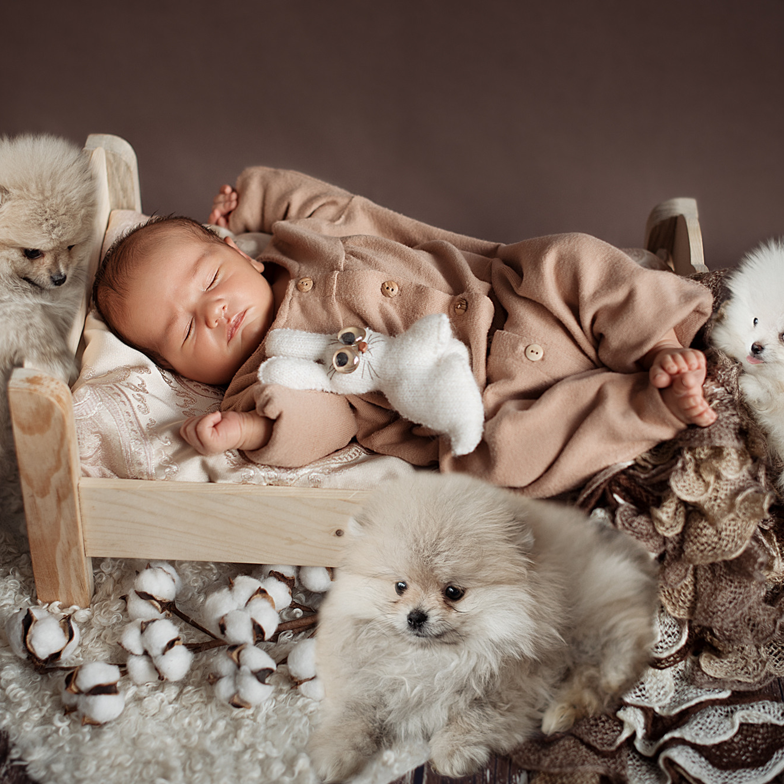 АРЕНДА ЖИВОТНЫХ. Фотограф беременности и новорожденных малышей Анастасия Никитина
