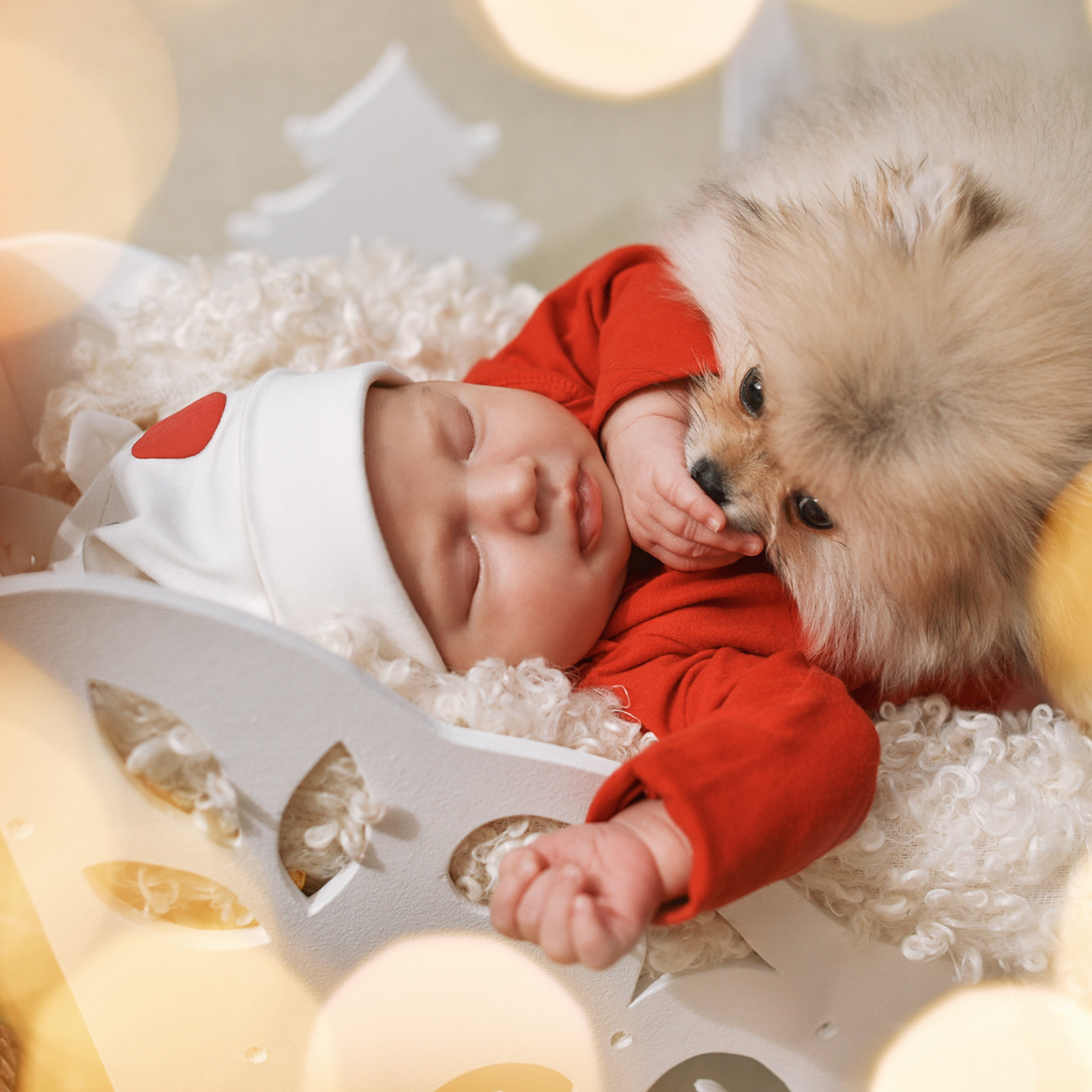 АРЕНДА ЖИВОТНЫХ. Фотограф беременности и новорожденных малышей Анастасия Никитина