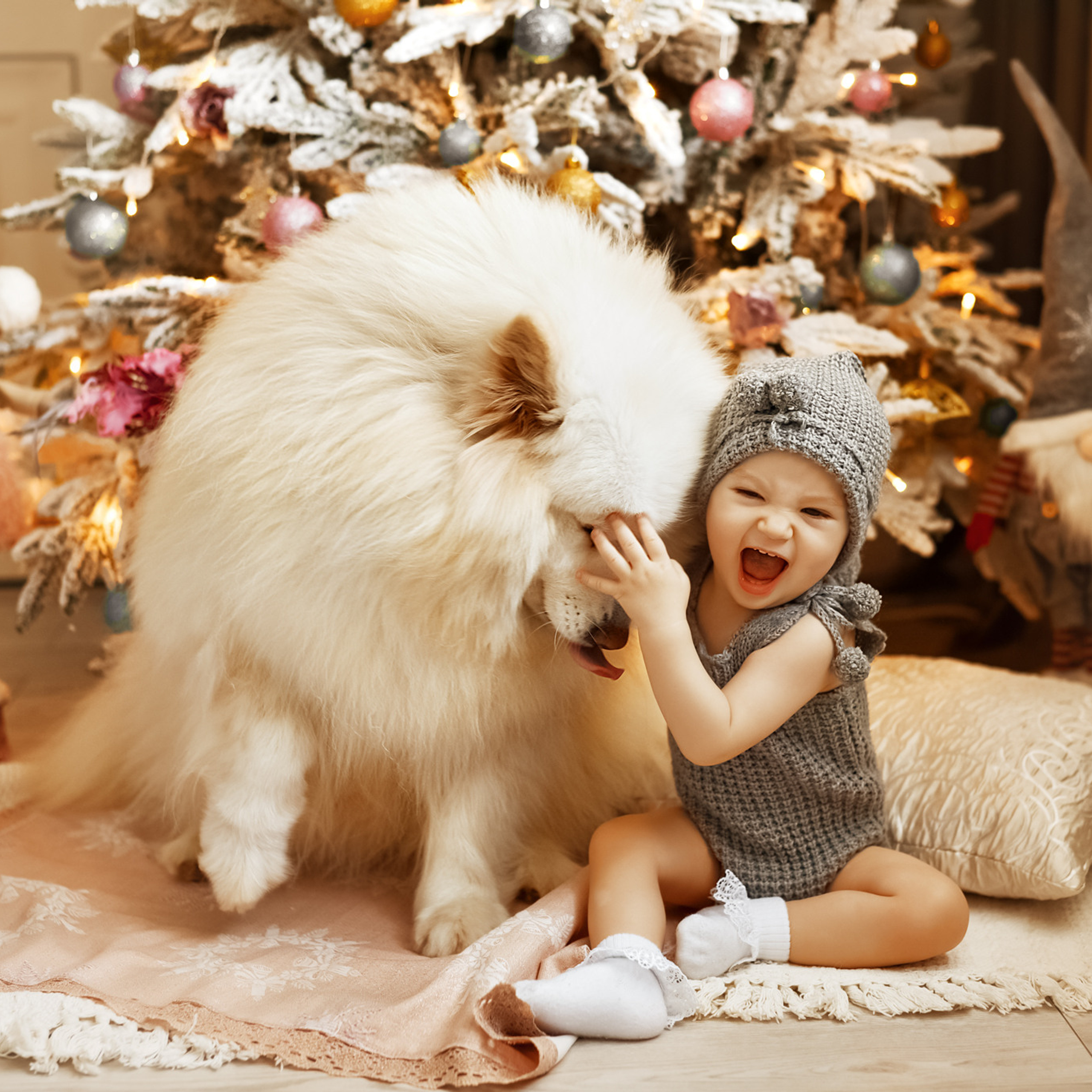 АРЕНДА ЖИВОТНЫХ. Фотограф беременности и новорожденных малышей Анастасия Никитина