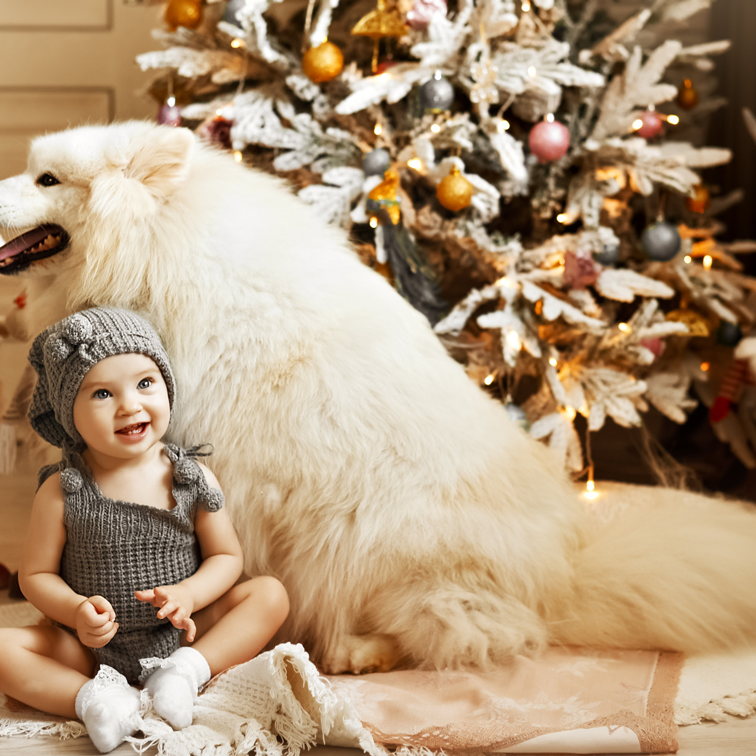 АРЕНДА ЖИВОТНЫХ. Фотограф беременности и новорожденных малышей Анастасия Никитина
