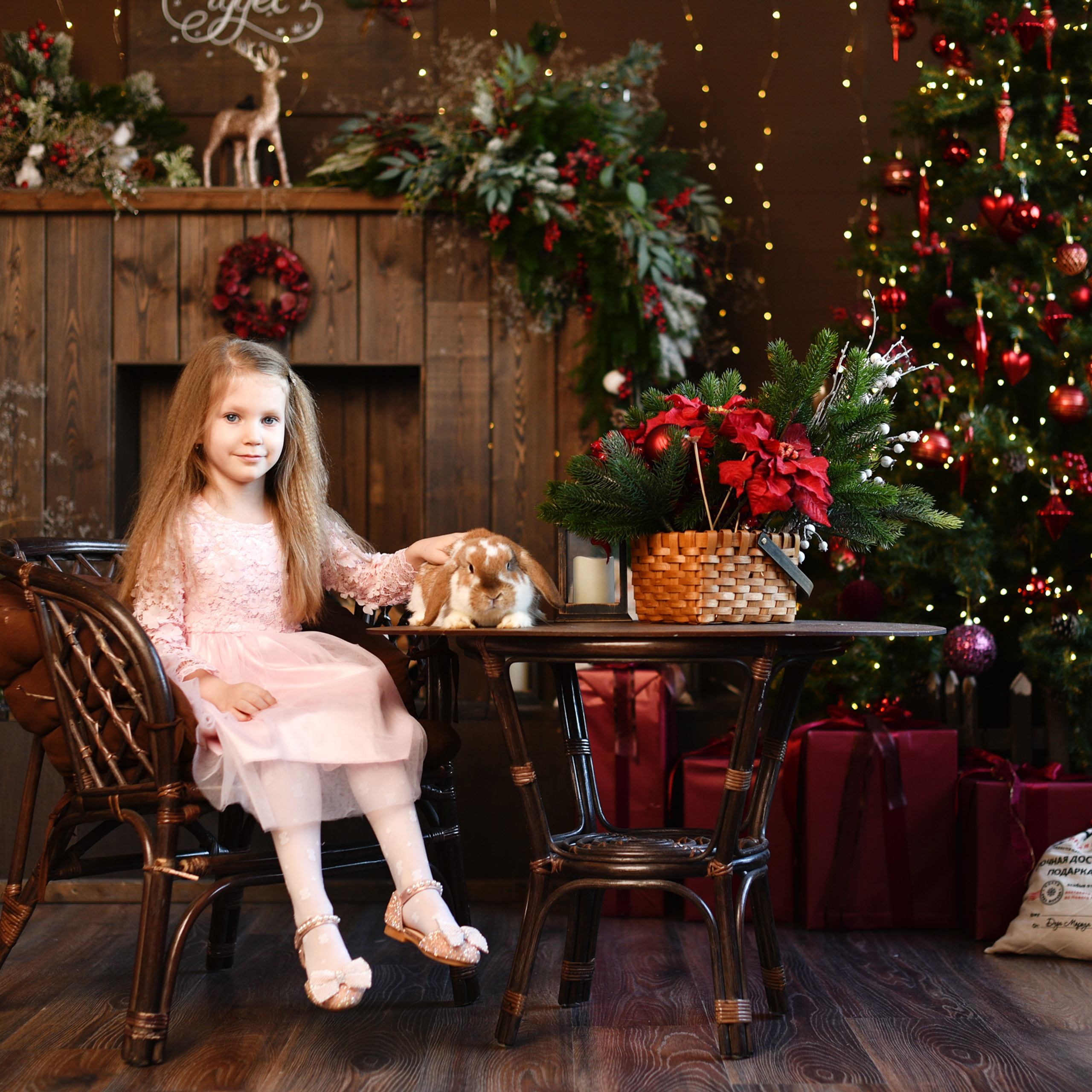 АРЕНДА ЖИВОТНЫХ. Фотограф беременности и новорожденных малышей Анастасия Никитина