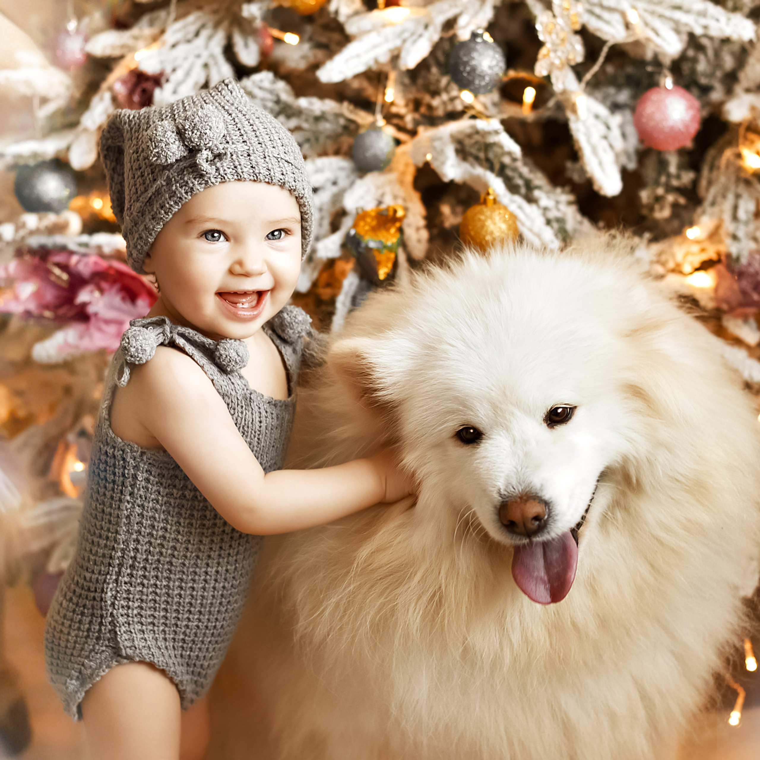 АРЕНДА ЖИВОТНЫХ. Фотограф беременности и новорожденных малышей Анастасия Никитина