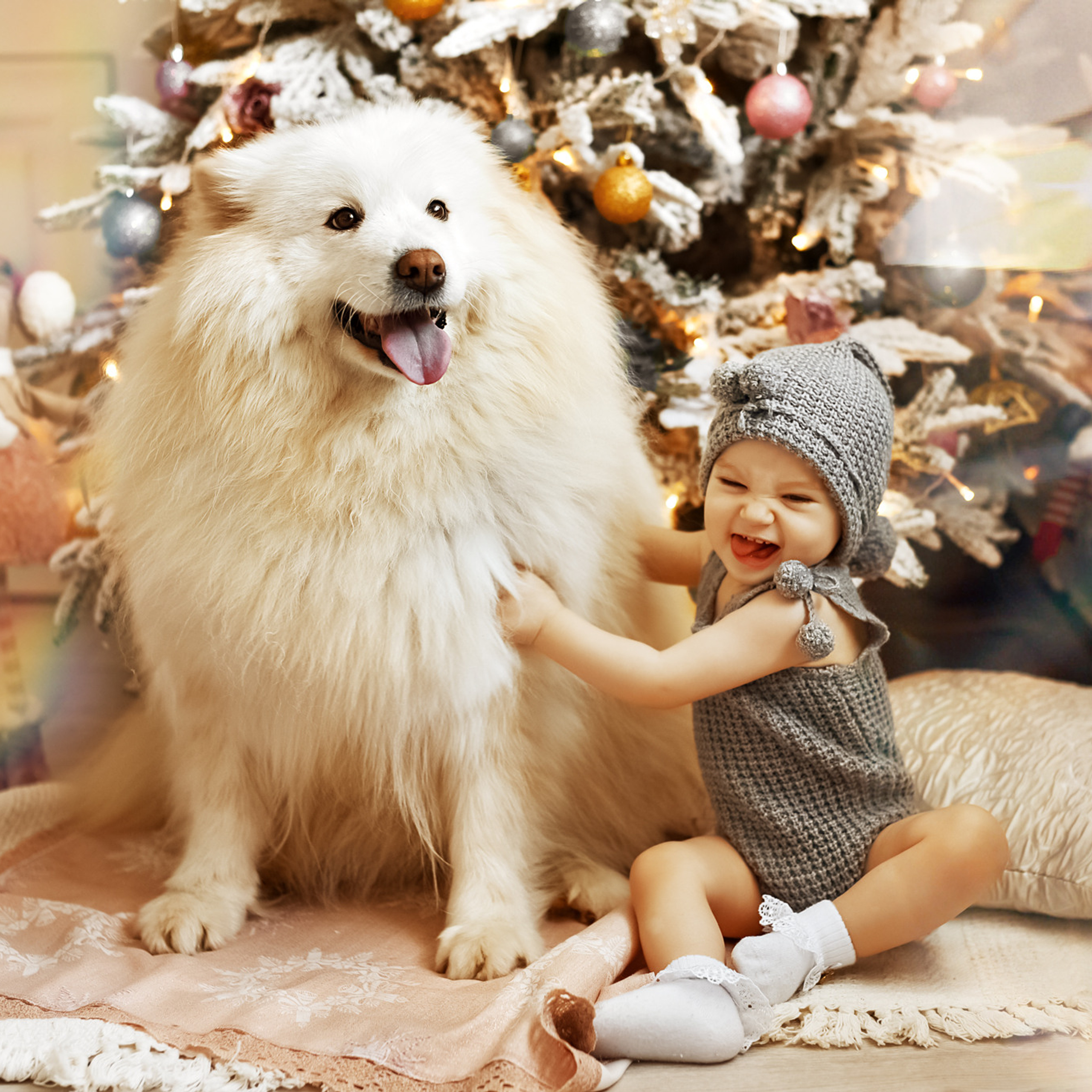 АРЕНДА ЖИВОТНЫХ. Фотограф беременности и новорожденных малышей Анастасия Никитина