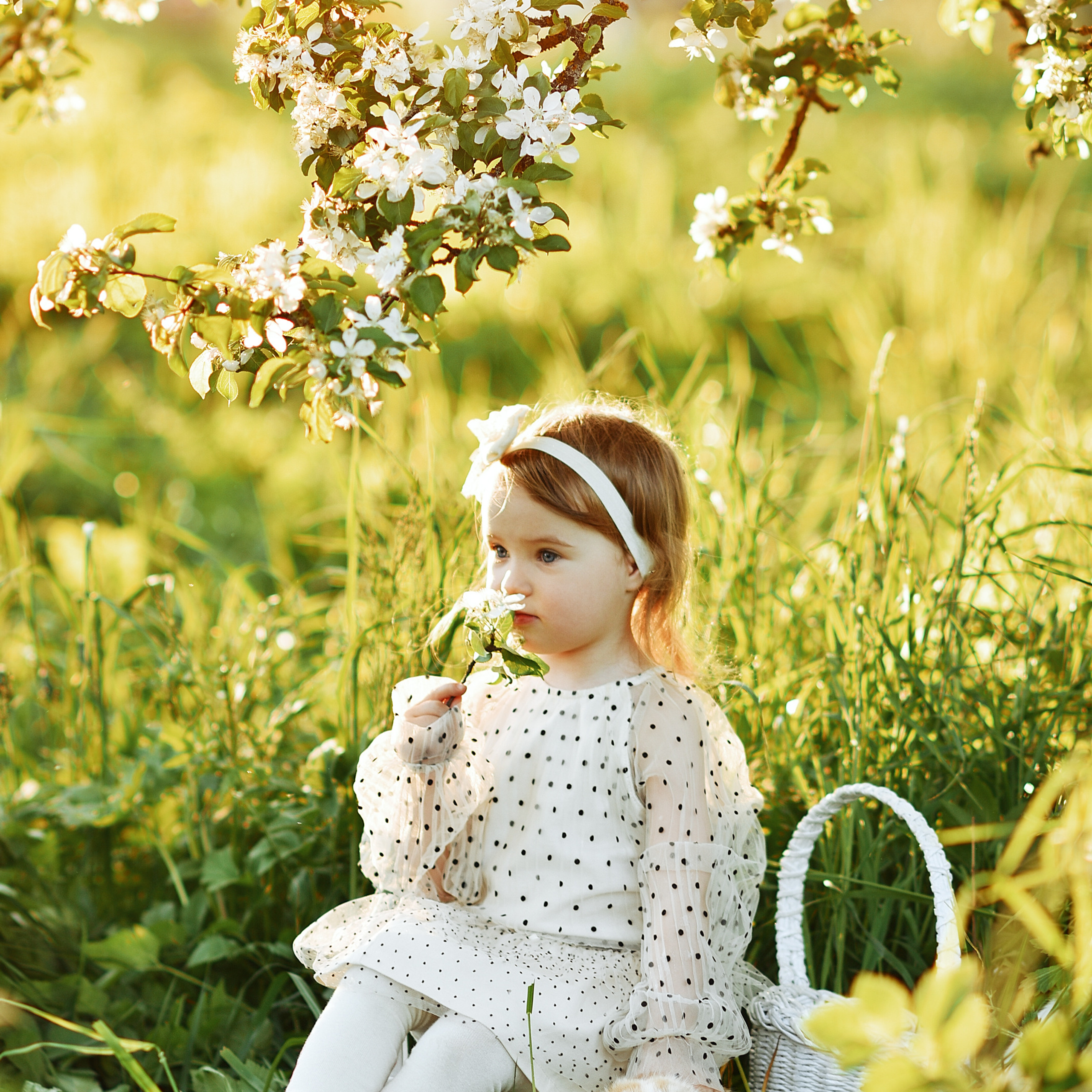 АРЕНДА ЖИВОТНЫХ. Фотограф беременности и новорожденных малышей Анастасия Никитина