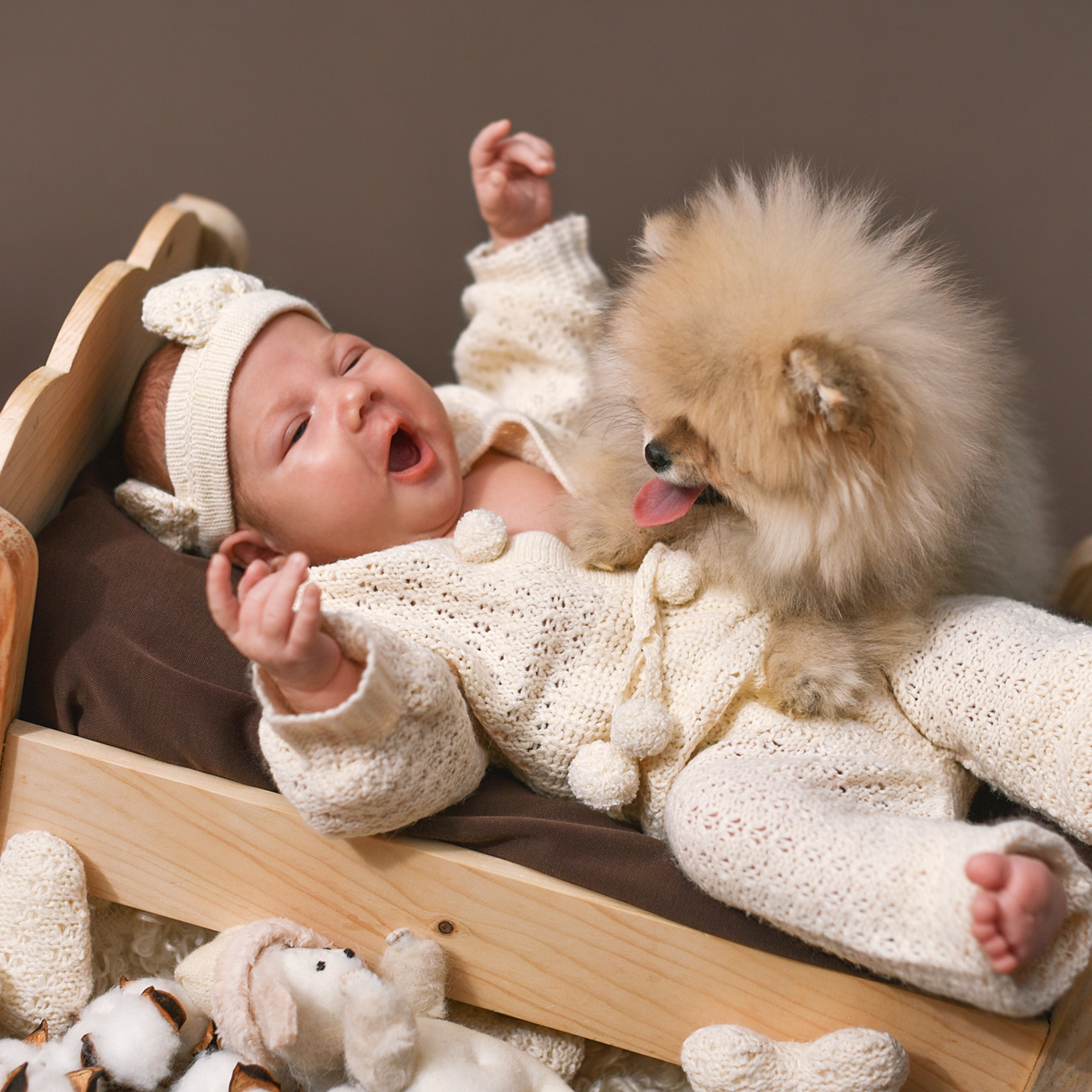 АРЕНДА ЖИВОТНЫХ. Фотограф беременности и новорожденных малышей Анастасия Никитина