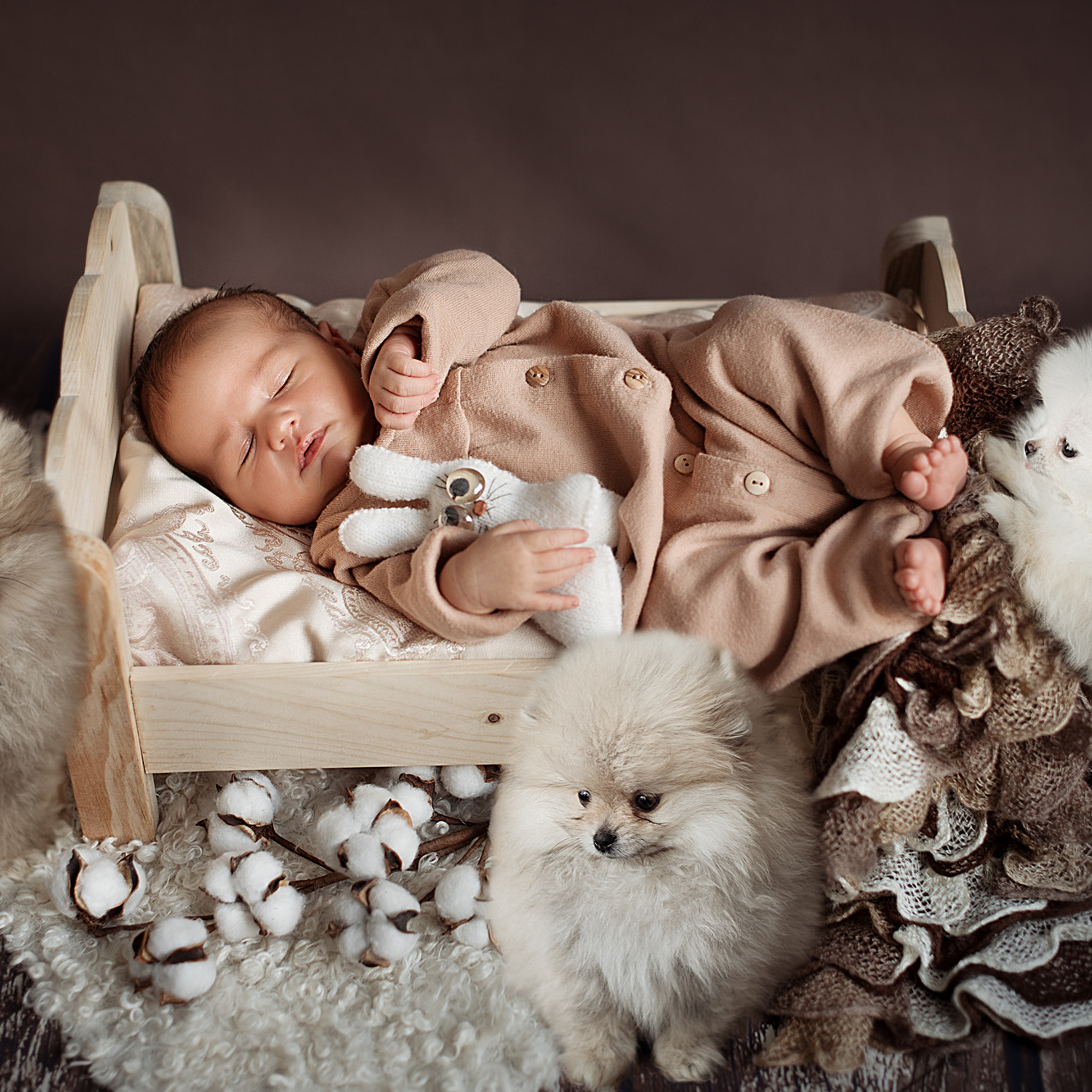АРЕНДА ЖИВОТНЫХ. Фотограф беременности и новорожденных малышей Анастасия Никитина
