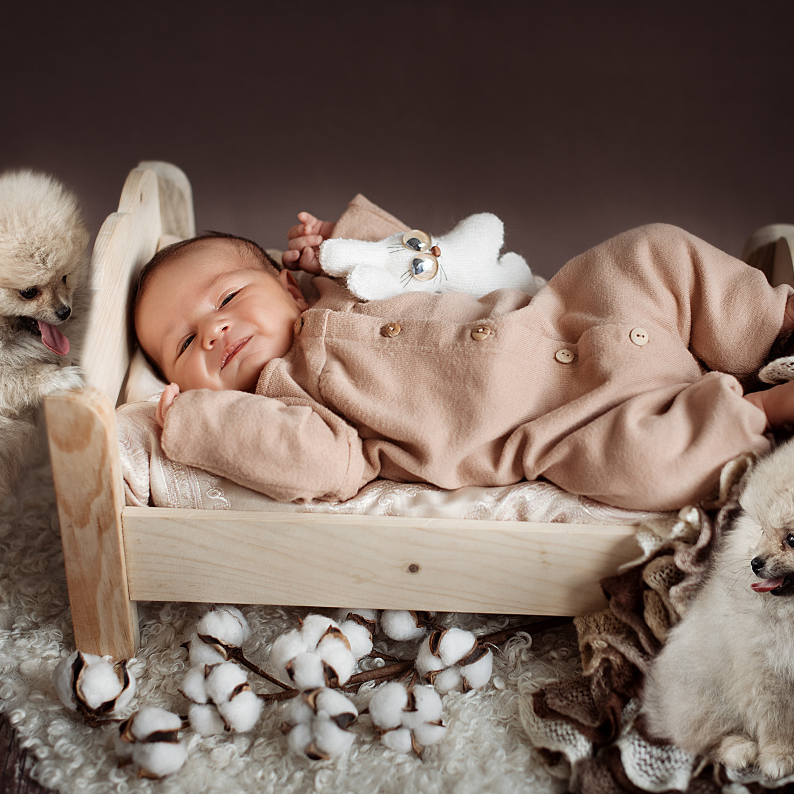 АРЕНДА ЖИВОТНЫХ. Фотограф беременности и новорожденных малышей Анастасия Никитина