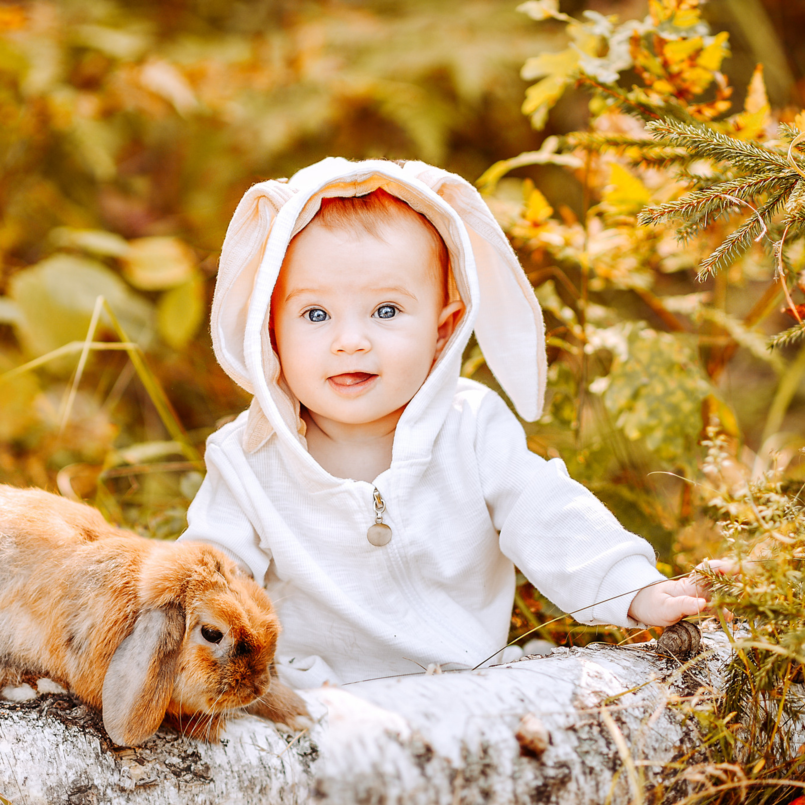 АРЕНДА ЖИВОТНЫХ. Фотограф беременности и новорожденных малышей Анастасия Никитина