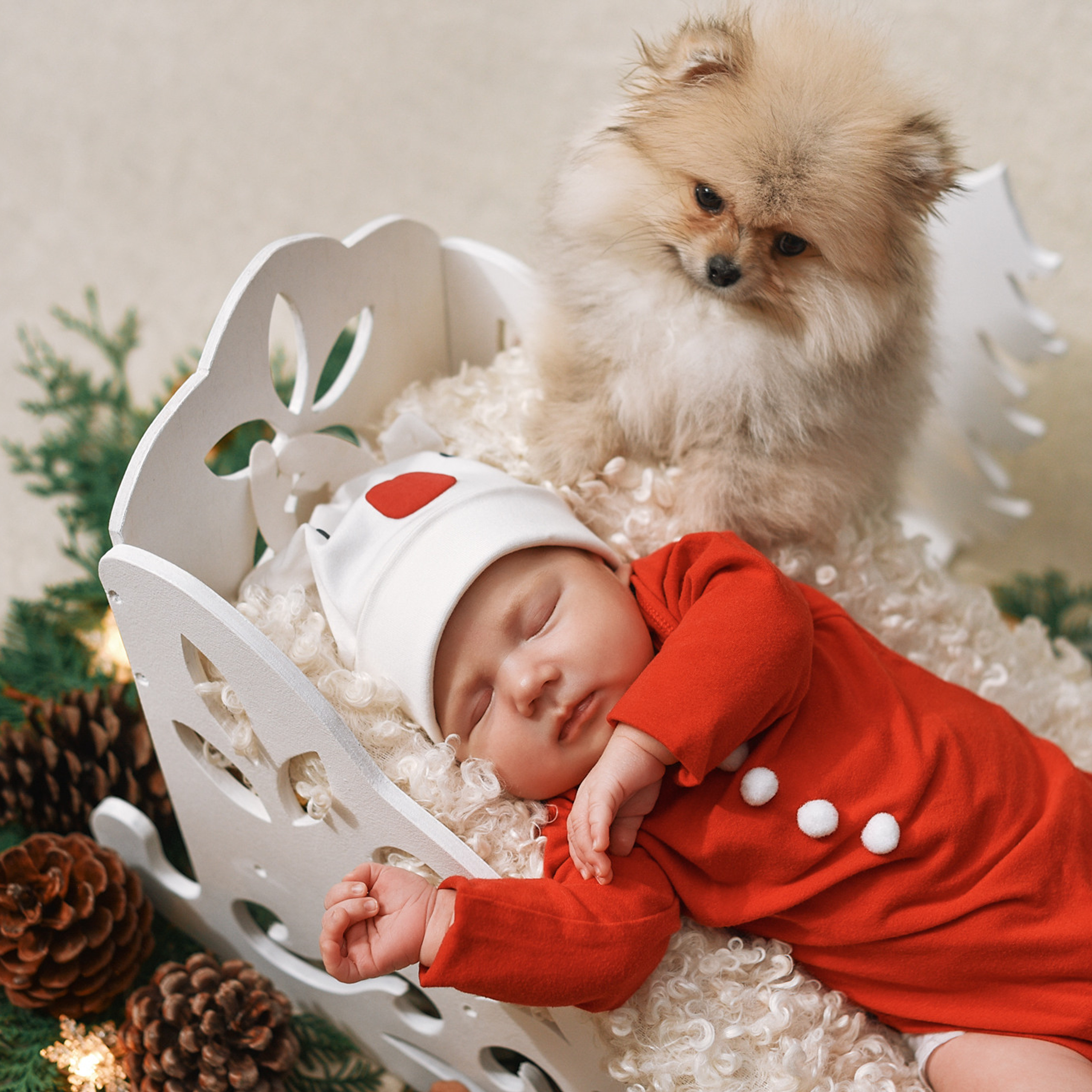 АРЕНДА ЖИВОТНЫХ. Фотограф беременности и новорожденных малышей Анастасия Никитина