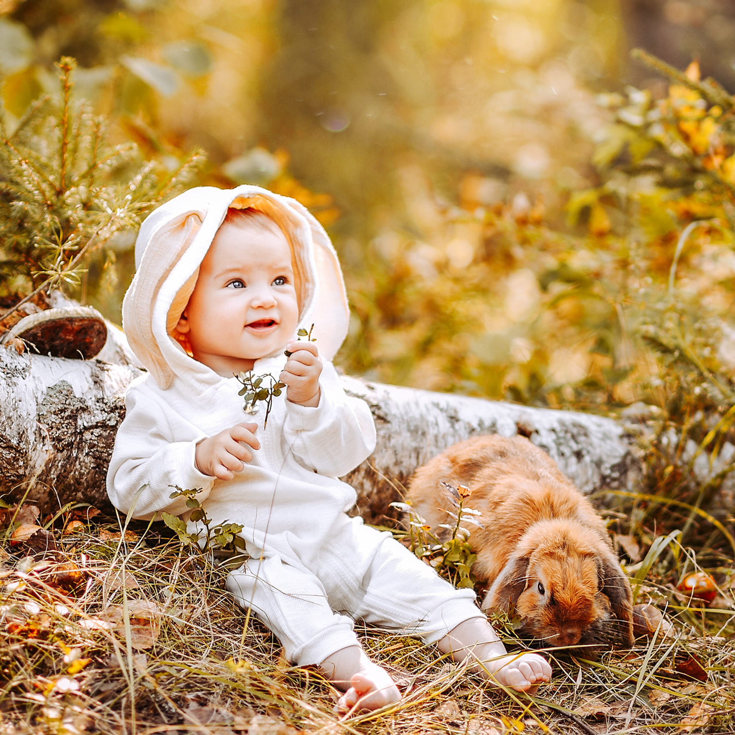 АРЕНДА ЖИВОТНЫХ. Фотограф беременности и новорожденных малышей Анастасия Никитина