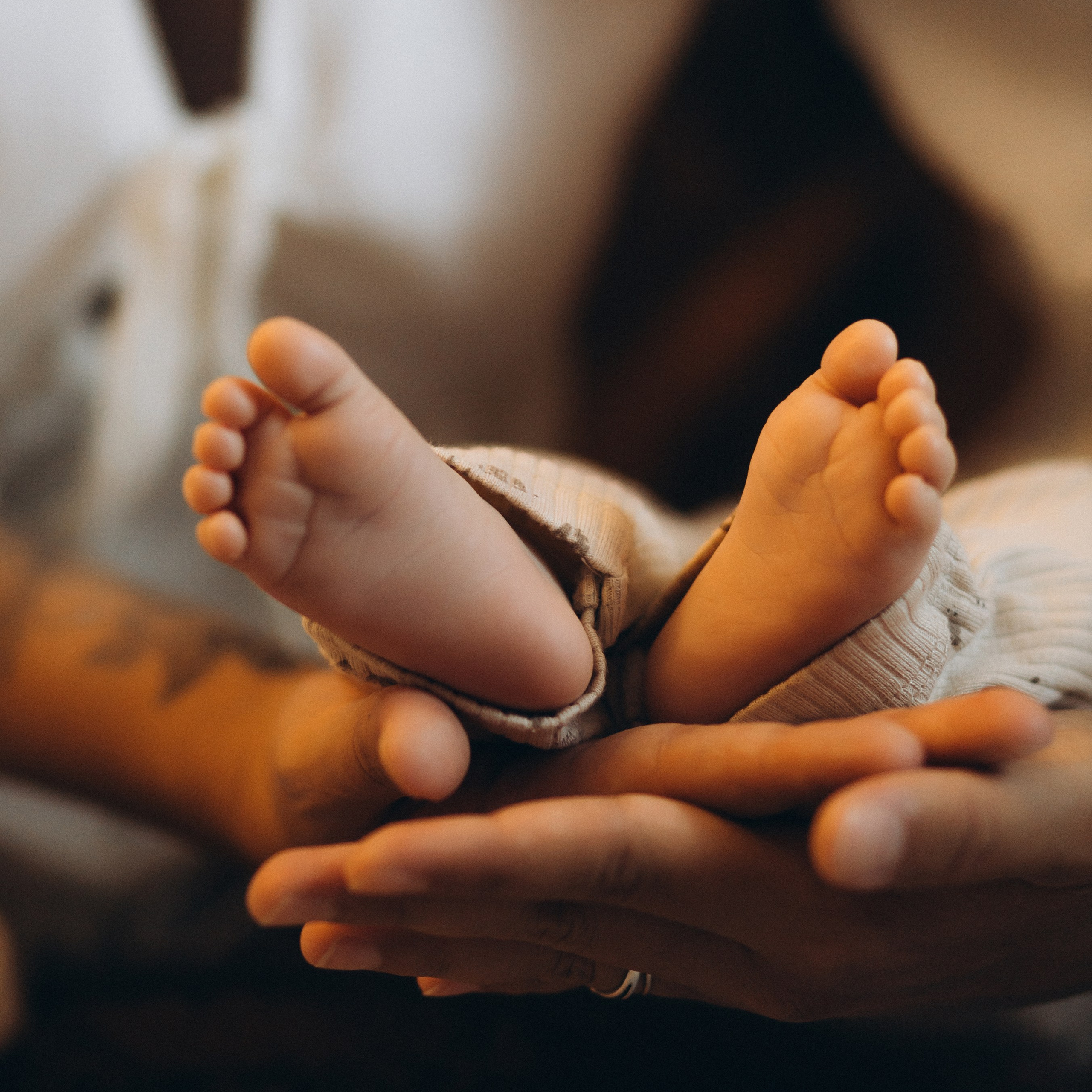 Семейные. Фотограф Петрозаводск/СПБ