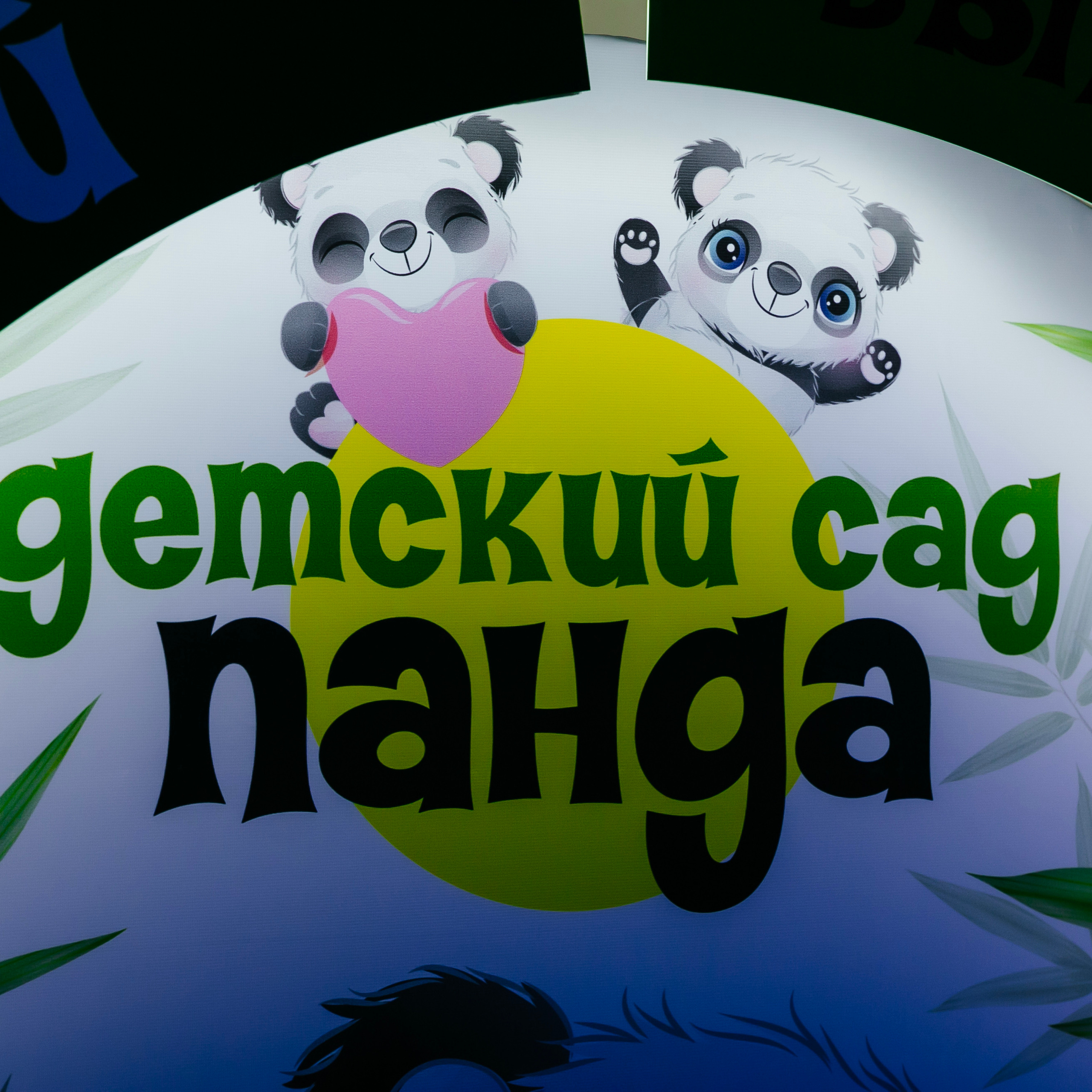 Отзывы. Свадебный и репортажный фотограф Александр Козлов