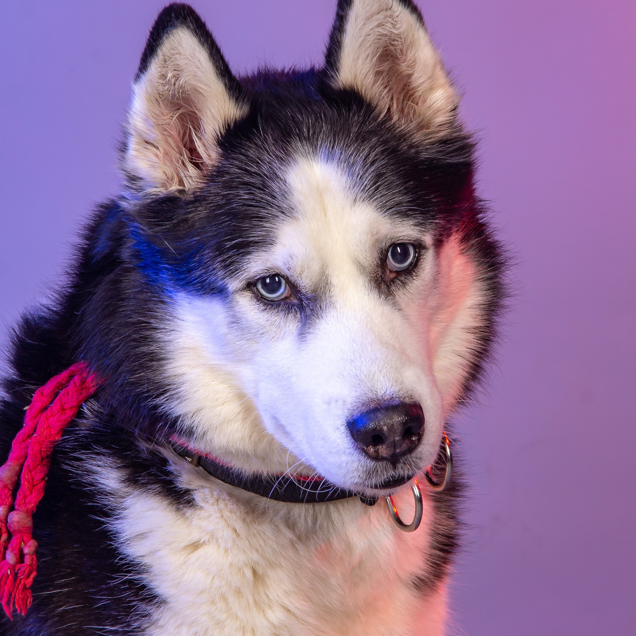 Отзывы. Детский и семейный фотограф в Донецке Наталья Афанасьева