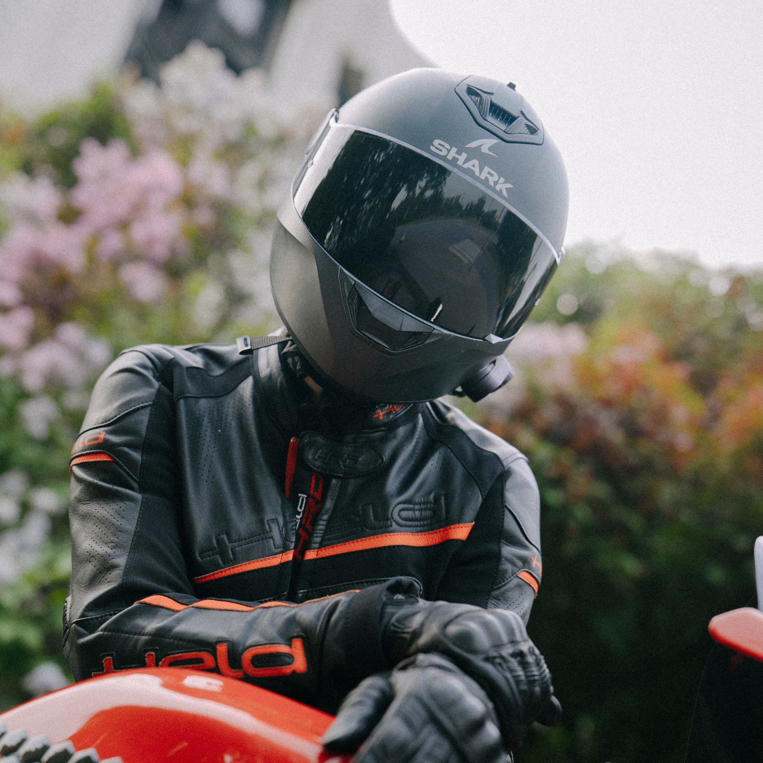 Маша + Honda